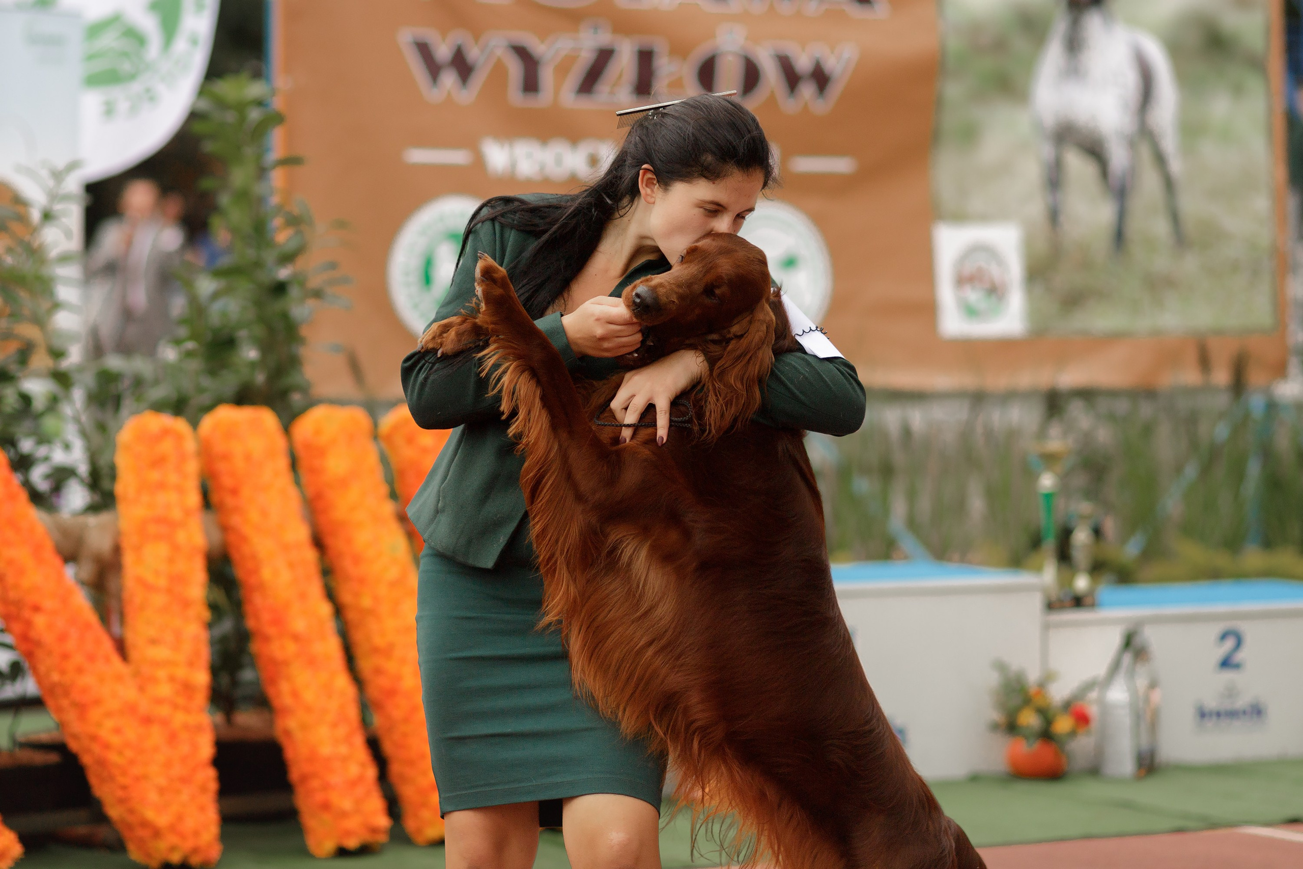 Dog shows | the best ones. Kaja | fotograf psów we Wrocławiu
