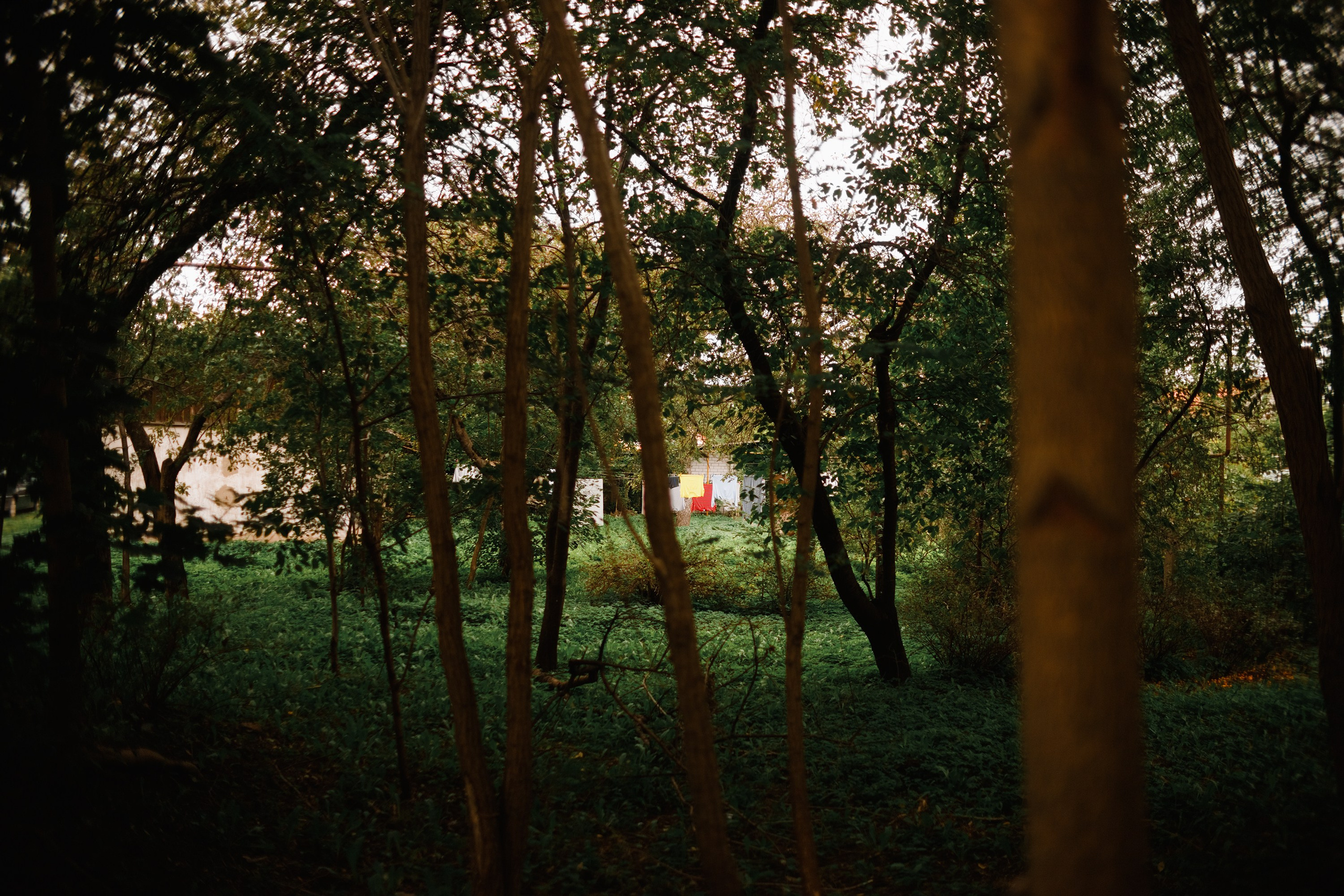 Grodno. Kaja | fotograf we Wrocławiu | ludzie i psy