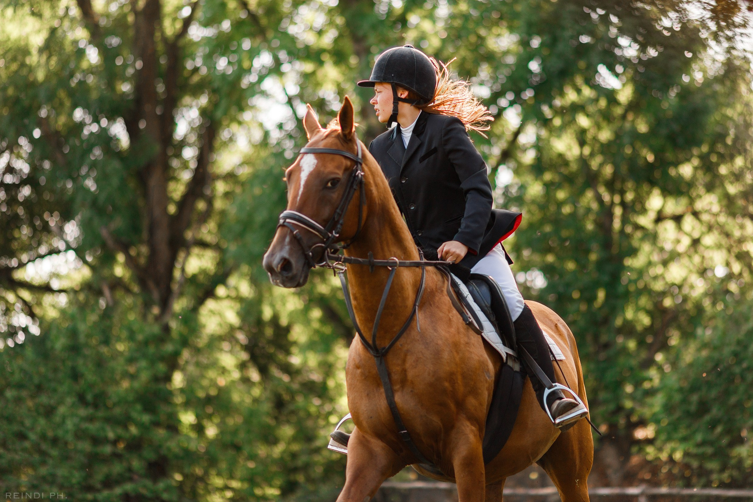 Horse show in the village. Kaja | fotograf we Wrocławiu | ludzie i psy