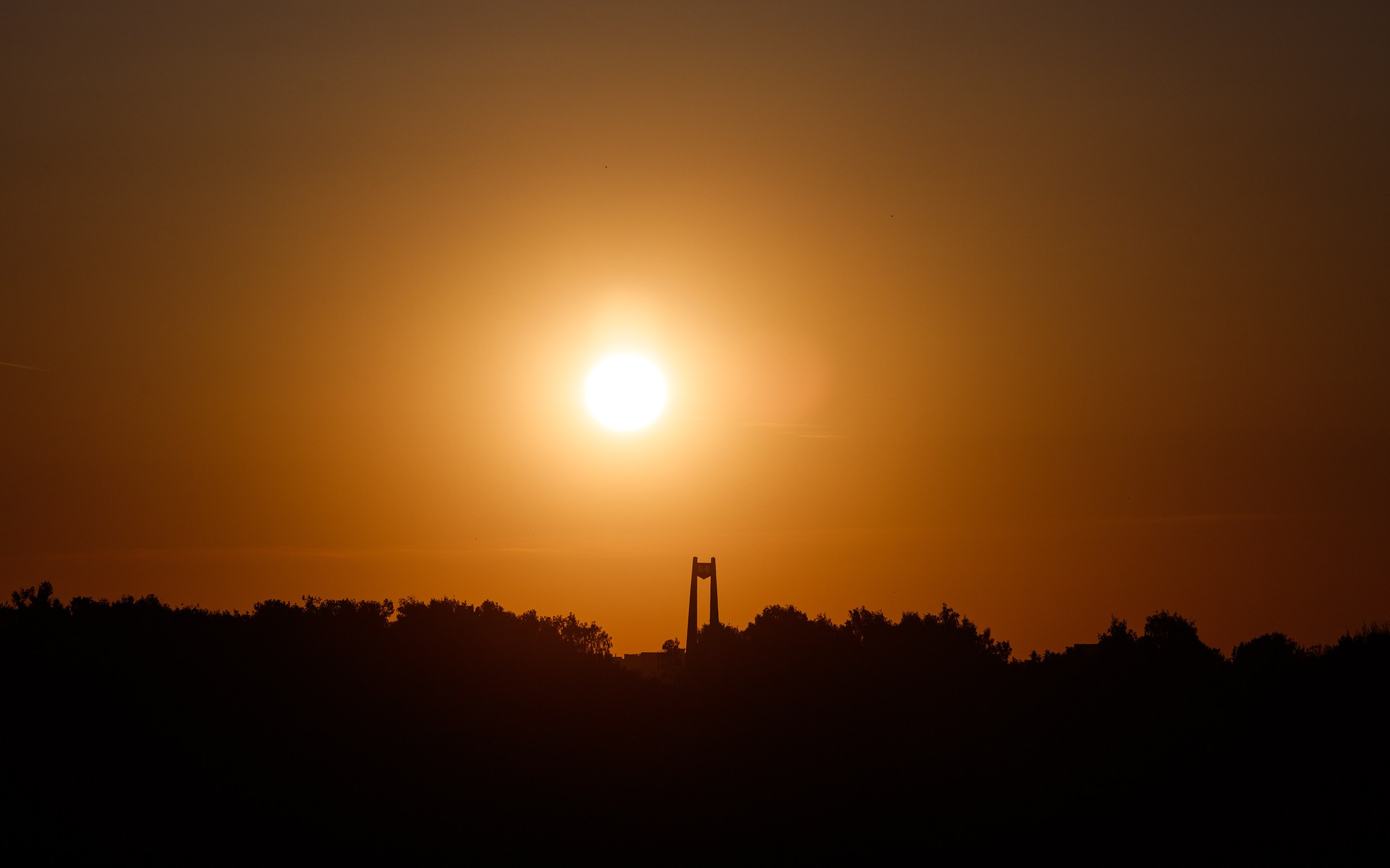 Grodno. Kaja | fotograf we Wrocławiu | ludzie i psy