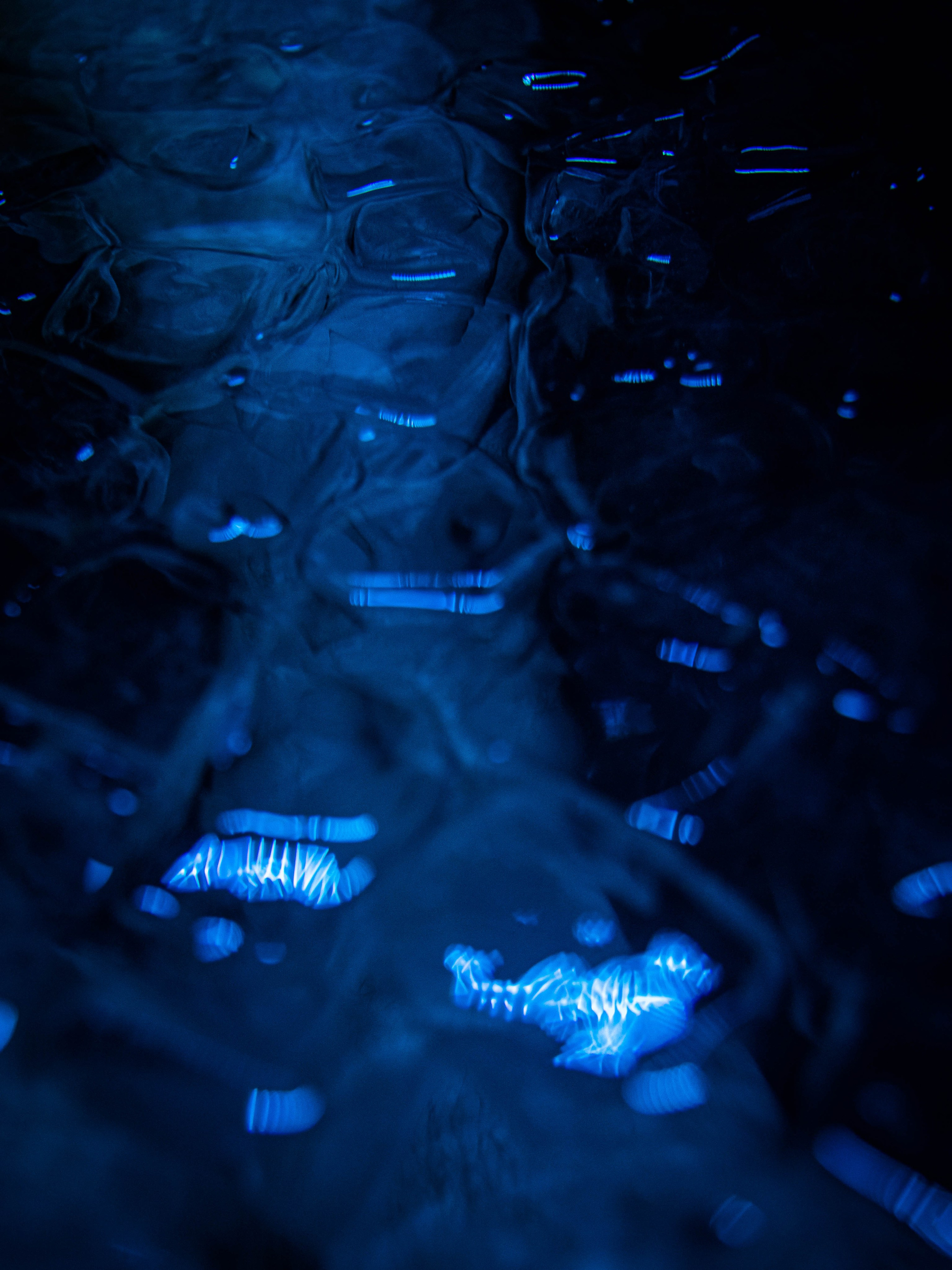 005. Palagina Ksusha, photographer in NY