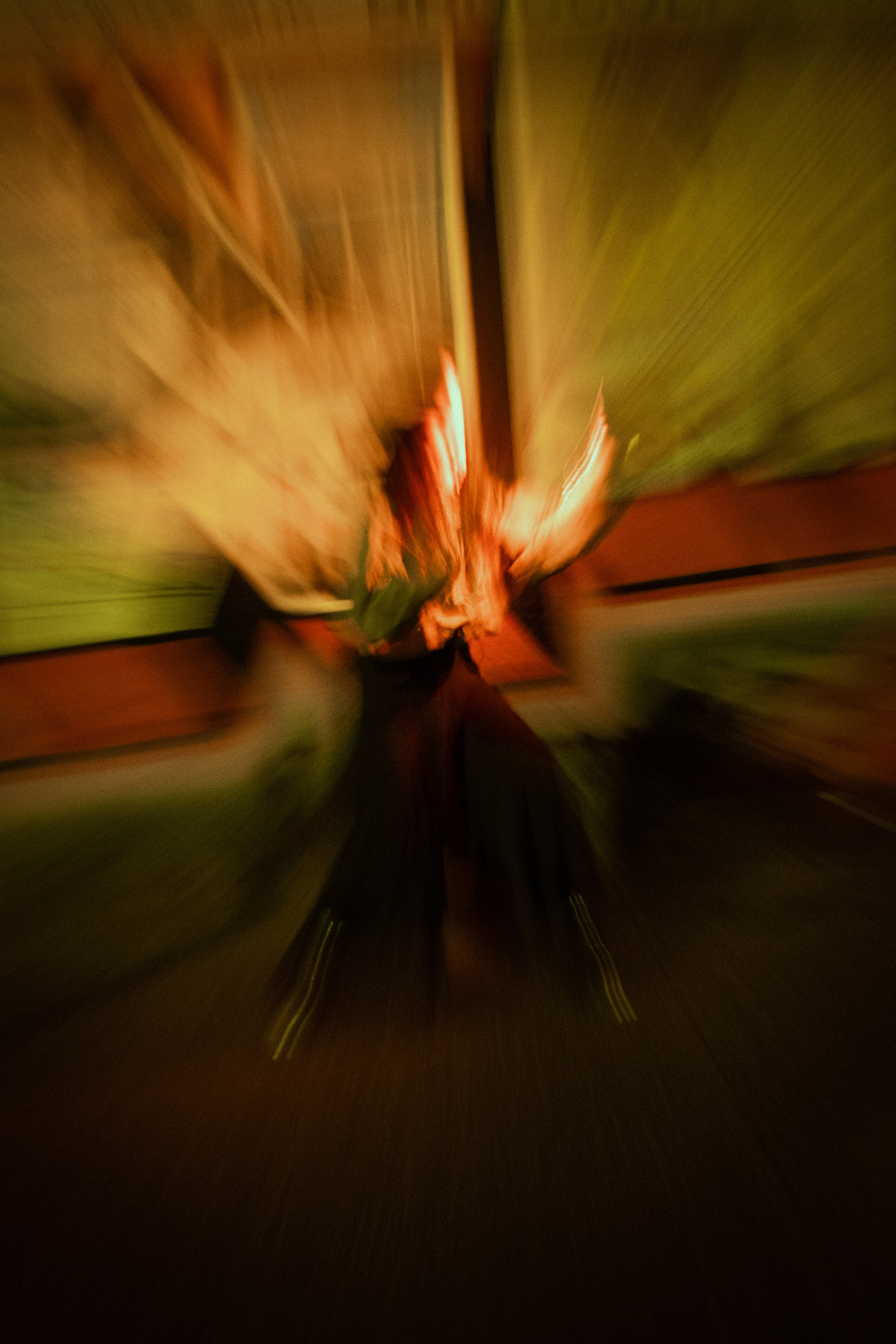 047. Palagina Ksusha, photographer in NY