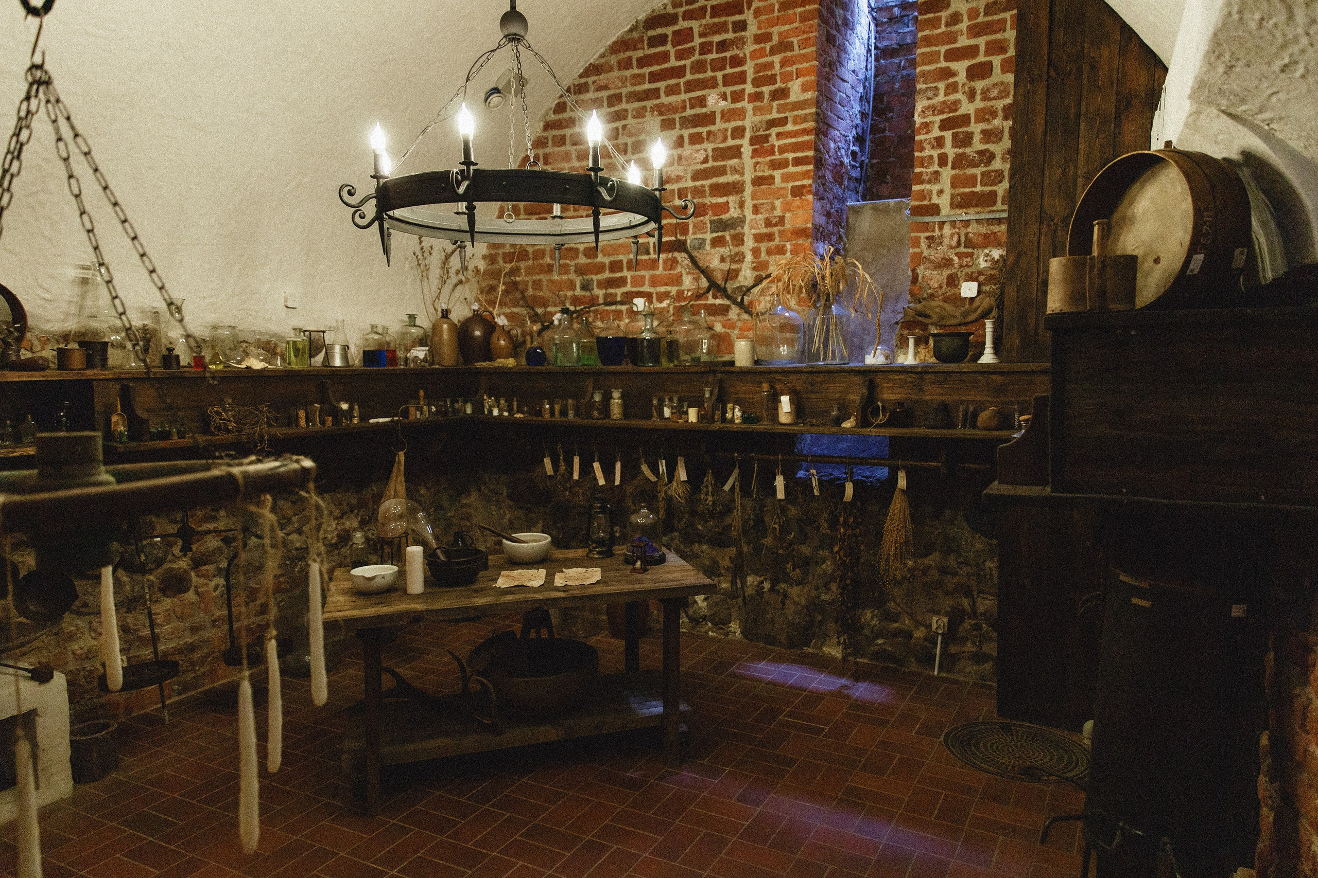 Museum of farmacy in Wroclaw. Kaja | fotograf we Wrocławiu | ludzie i psy