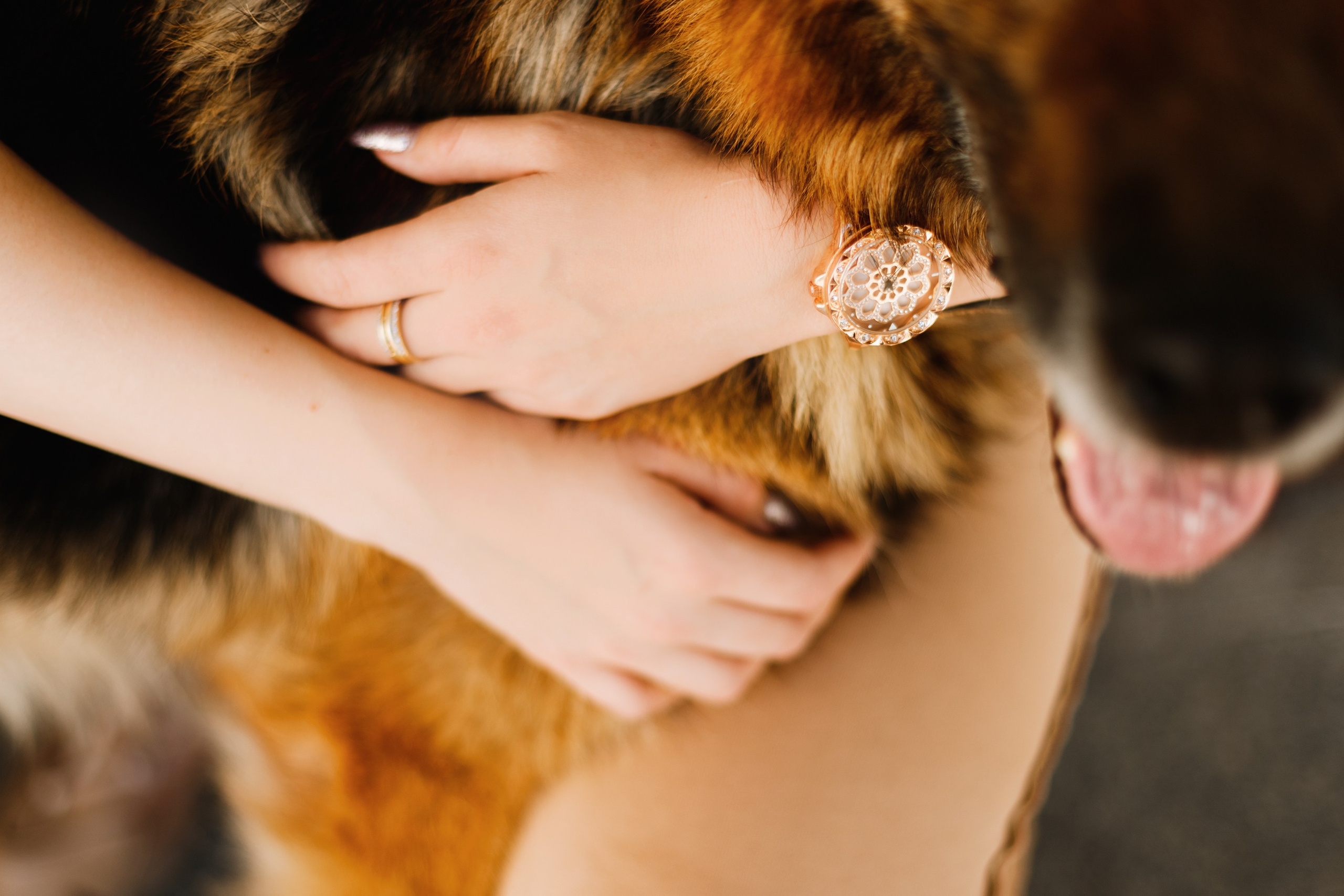 Dog trainer blog content. Kaja | fotograf we Wrocławiu | ludzie i psy