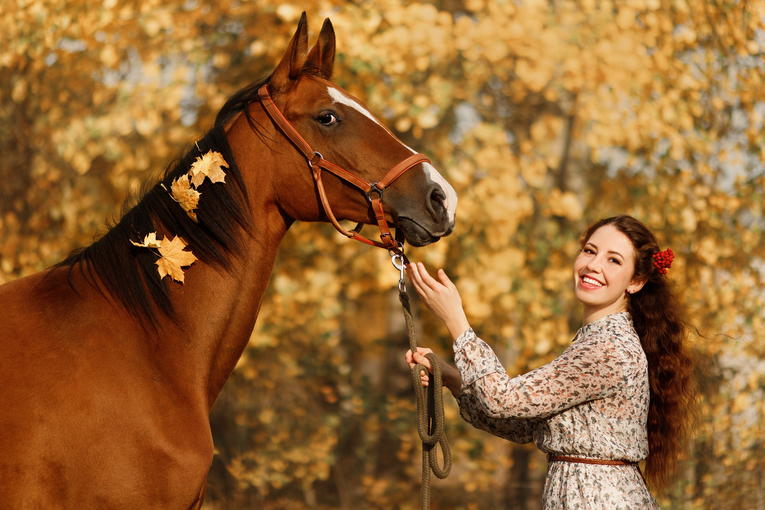 Aibike | autumn. Kaja | fotograf psów we Wrocławiu