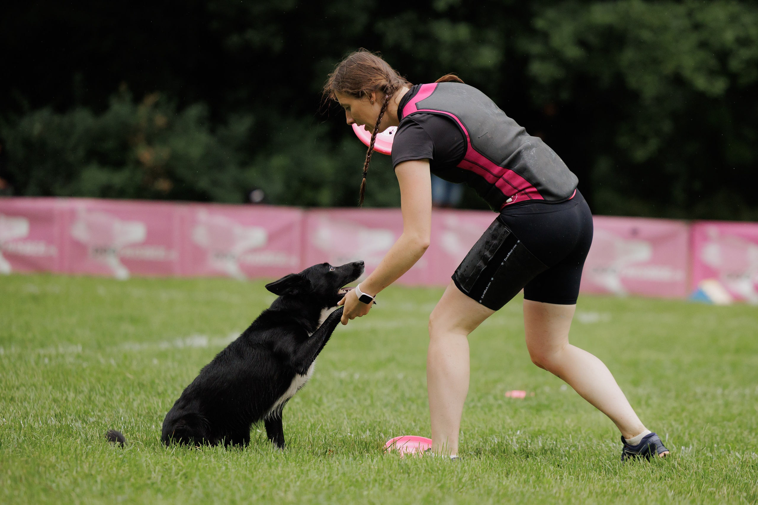 Latające psy, Wrocław'25. Kaja | fotograf psów we Wrocławiu