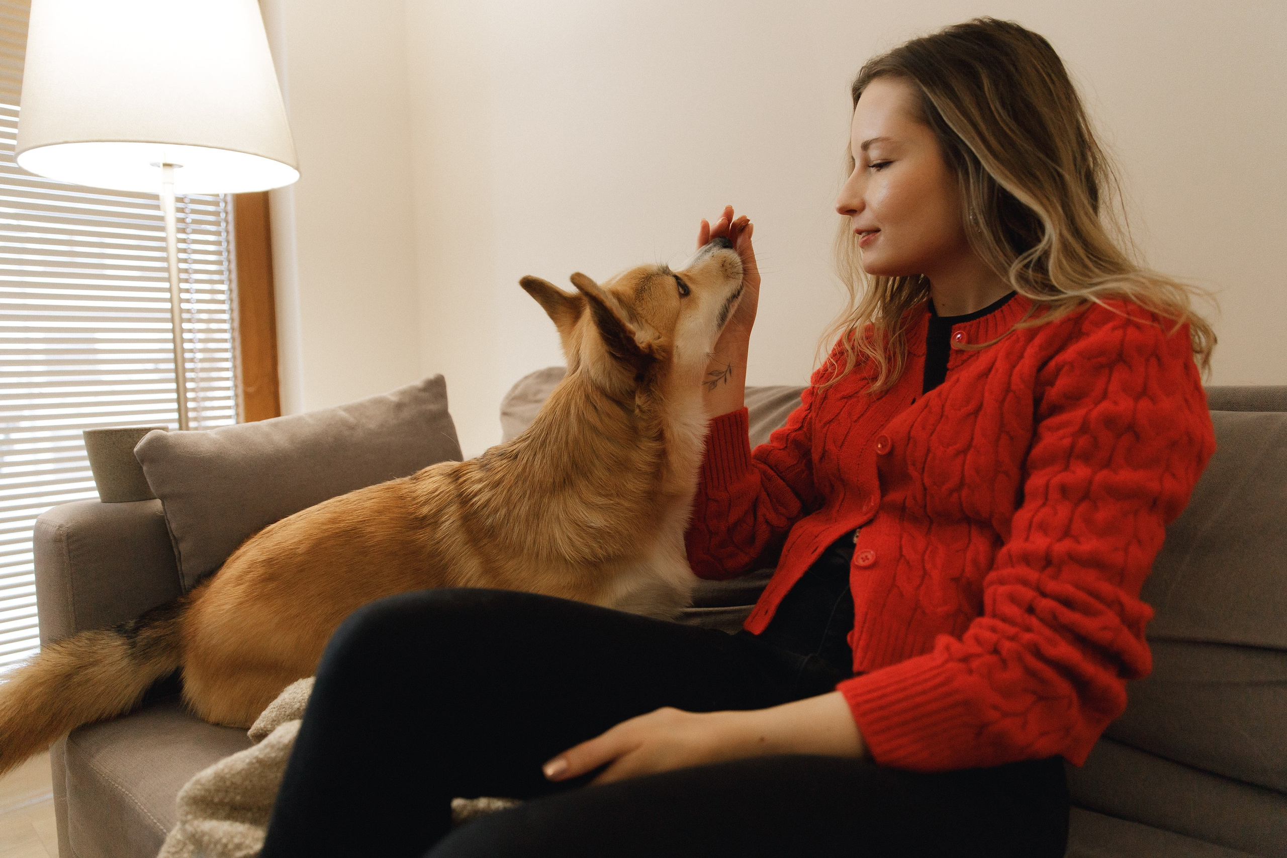 Dasha & Daisy. Kaja | fotograf psów we Wrocławiu