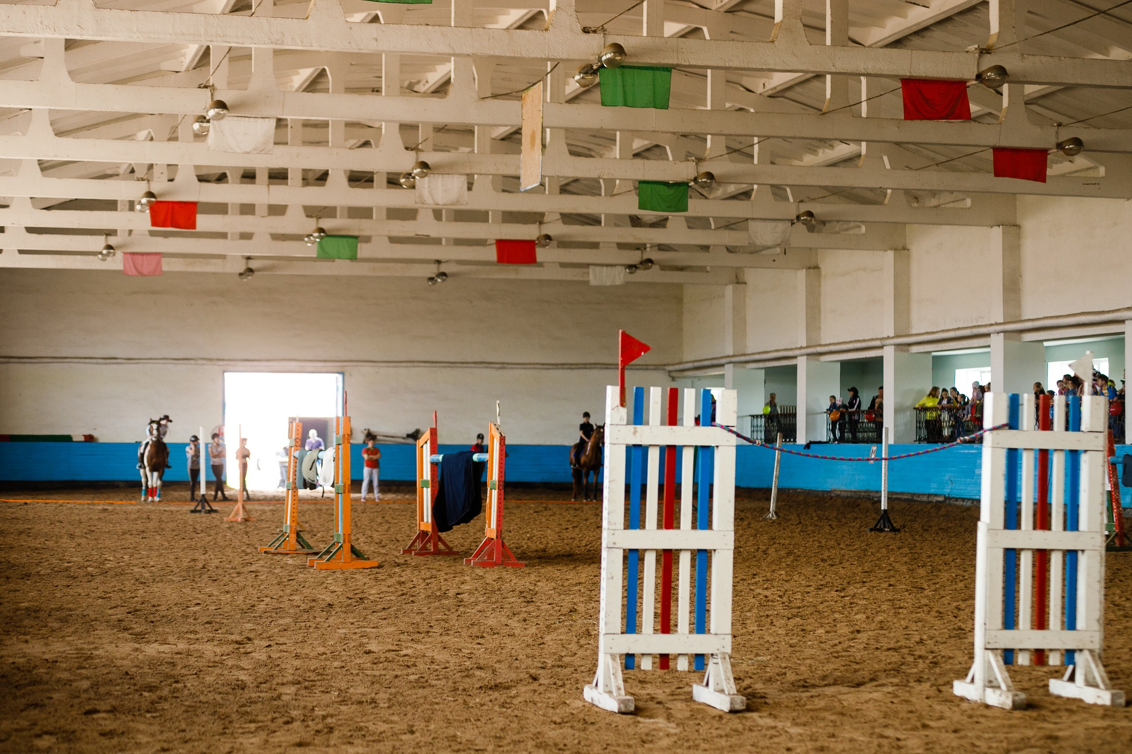 Horse winter games. Kaja | fotograf we Wrocławiu | ludzie i psy