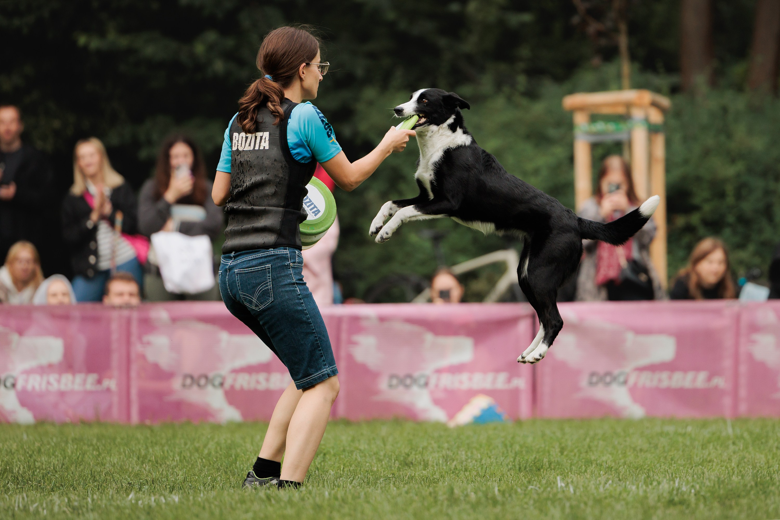 Latające psy, Wrocław'25. Kaja | fotograf psów we Wrocławiu