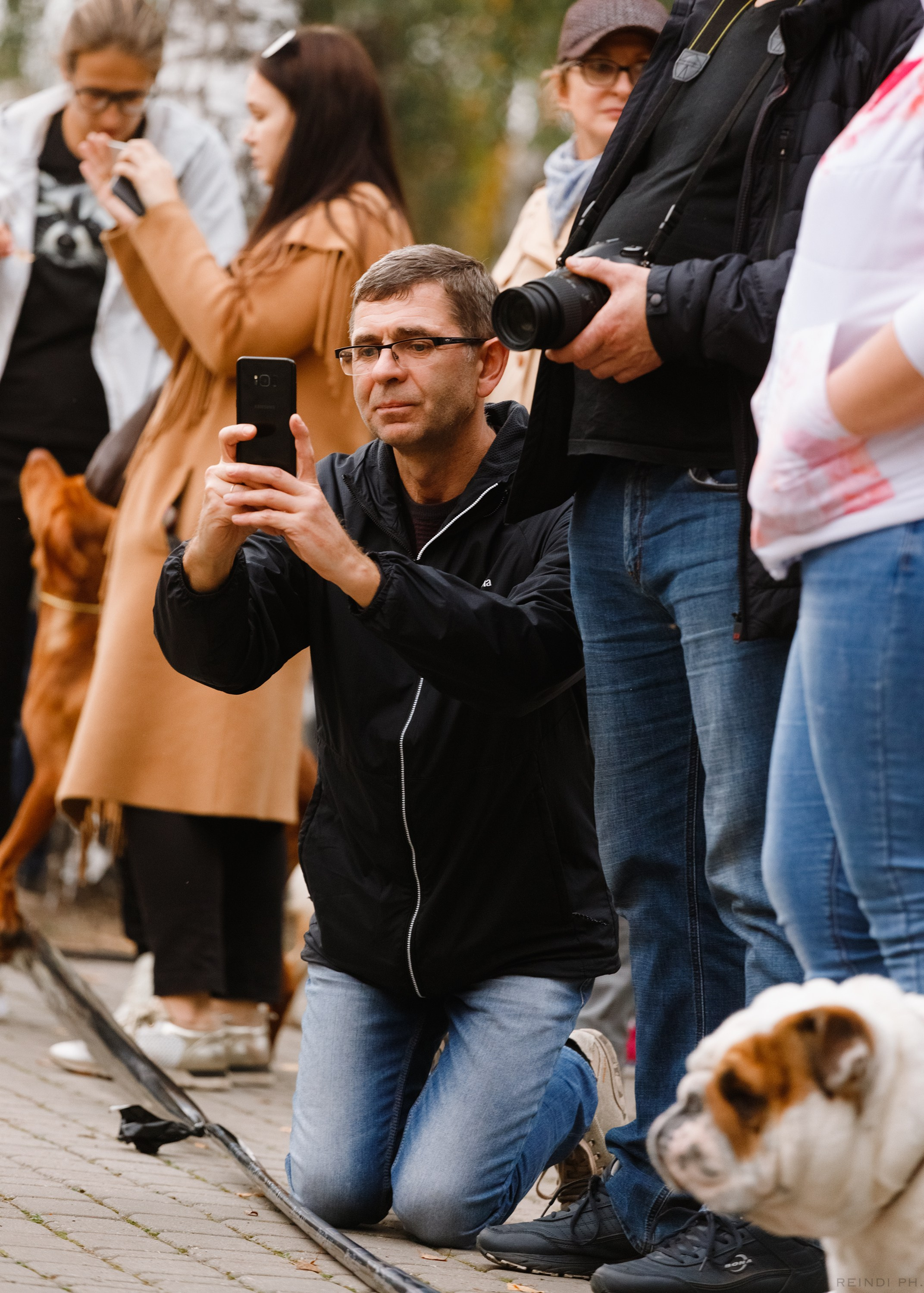 «Argus» dog show in Brest. Kaja | fotograf we Wrocławiu | ludzie i psy