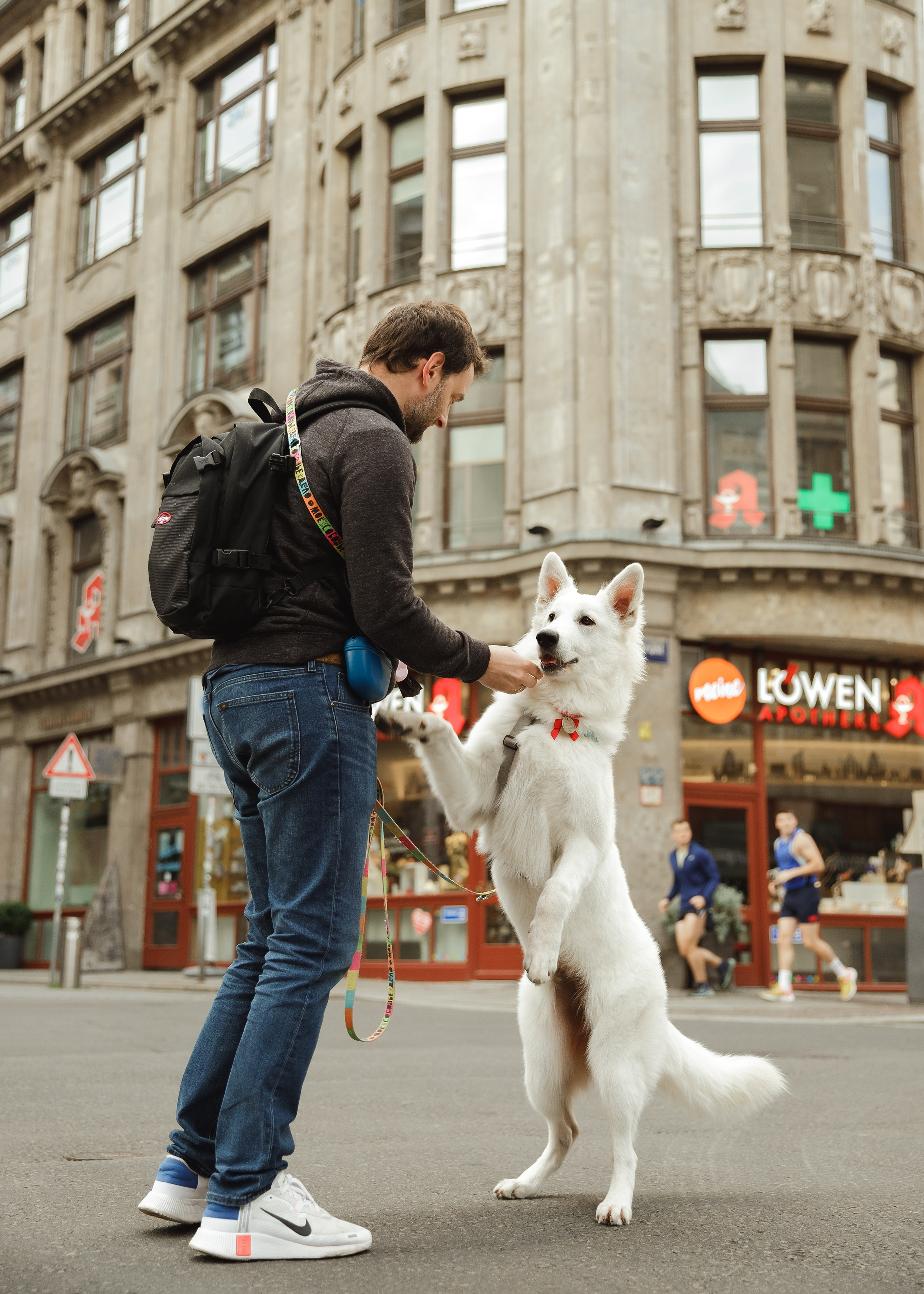 Astra in Leipzig. Kaja | fotograf we Wrocławiu | ludzie i psy