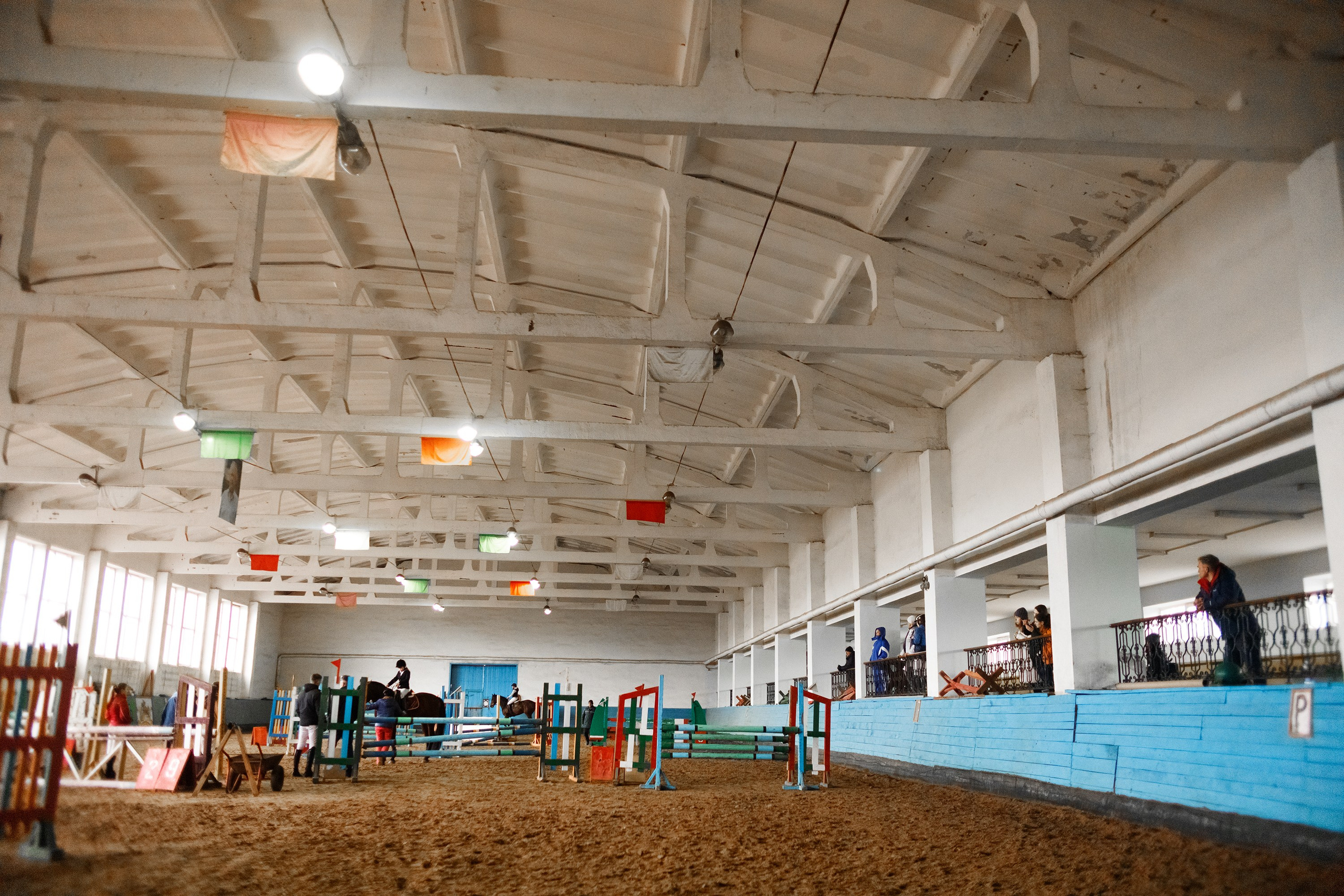 Winter show jumping in «Progress». Kaja | fotograf we Wrocławiu | ludzie i psy