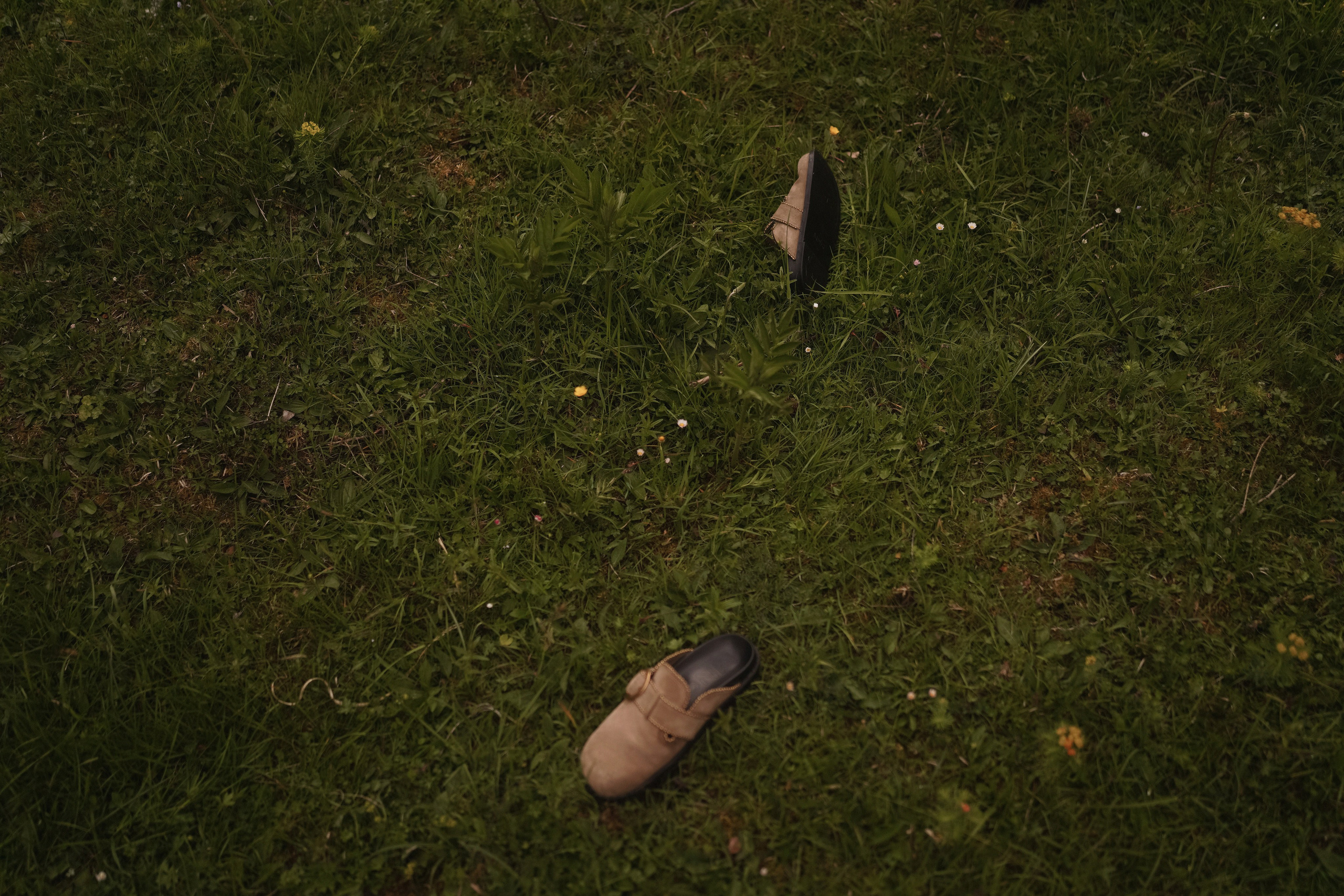 Love Story. Fotografin Iryna Meisinger