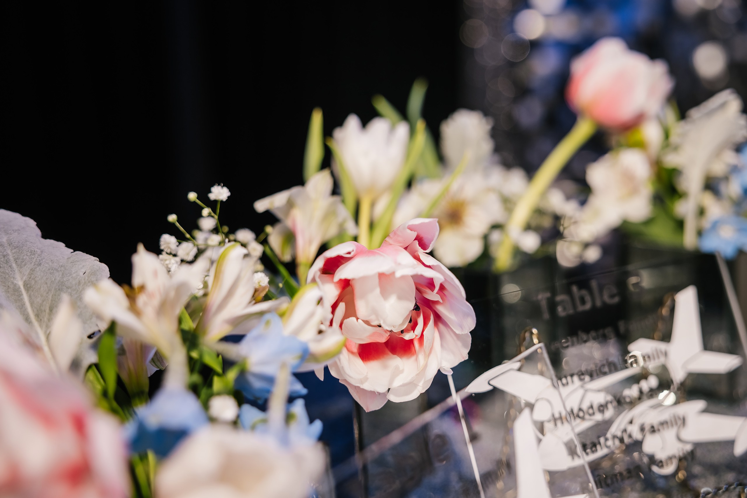 02.10.2024 Birthday Party. Wedding family event photographer in Chicago Nick Yushevich