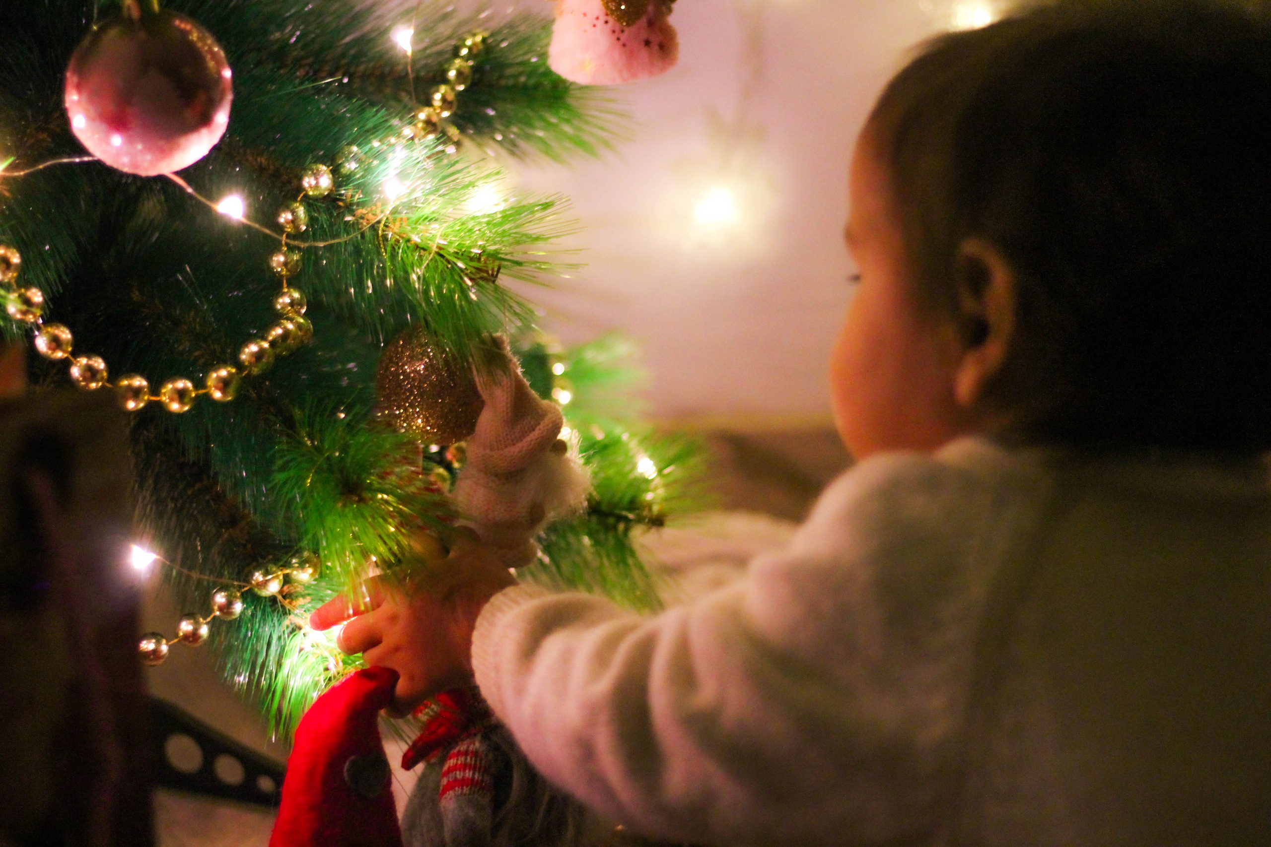 Maria&Miguel. Fotógrafo en Mataró, Eugenia Shikhina