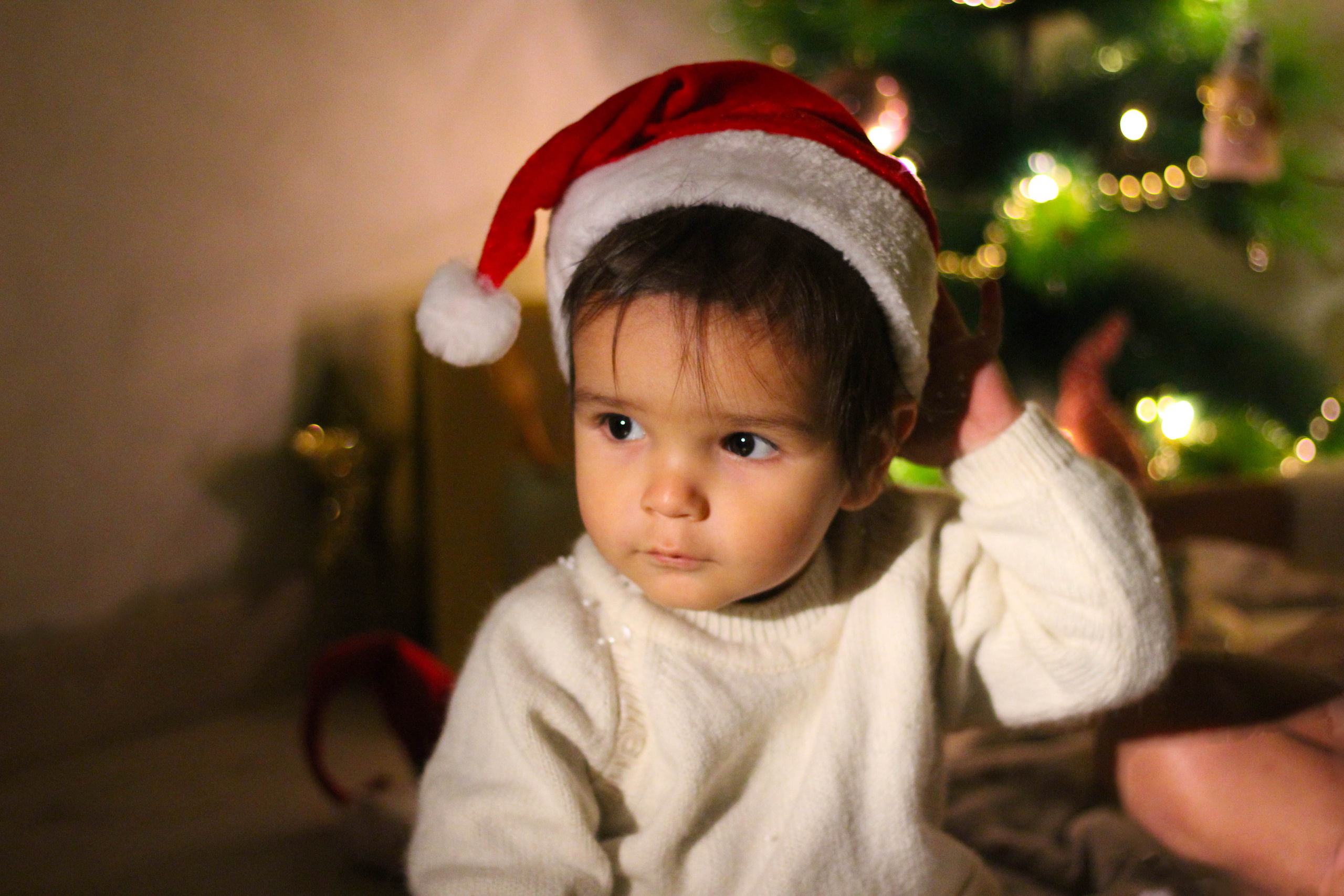 Maria&Miguel. Fotógrafo en Mataró, Eugenia Shikhina