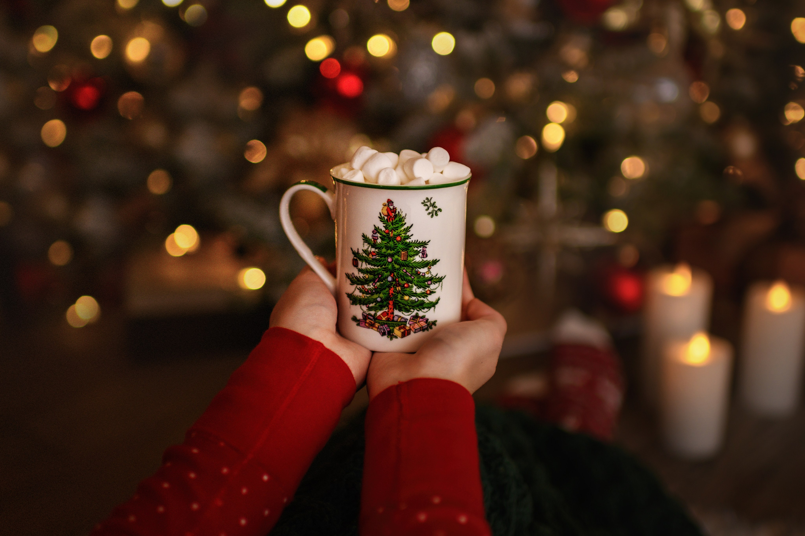 Christmas. Wedding & portrait photography in the Seattle Area. Helen Michelle photographer