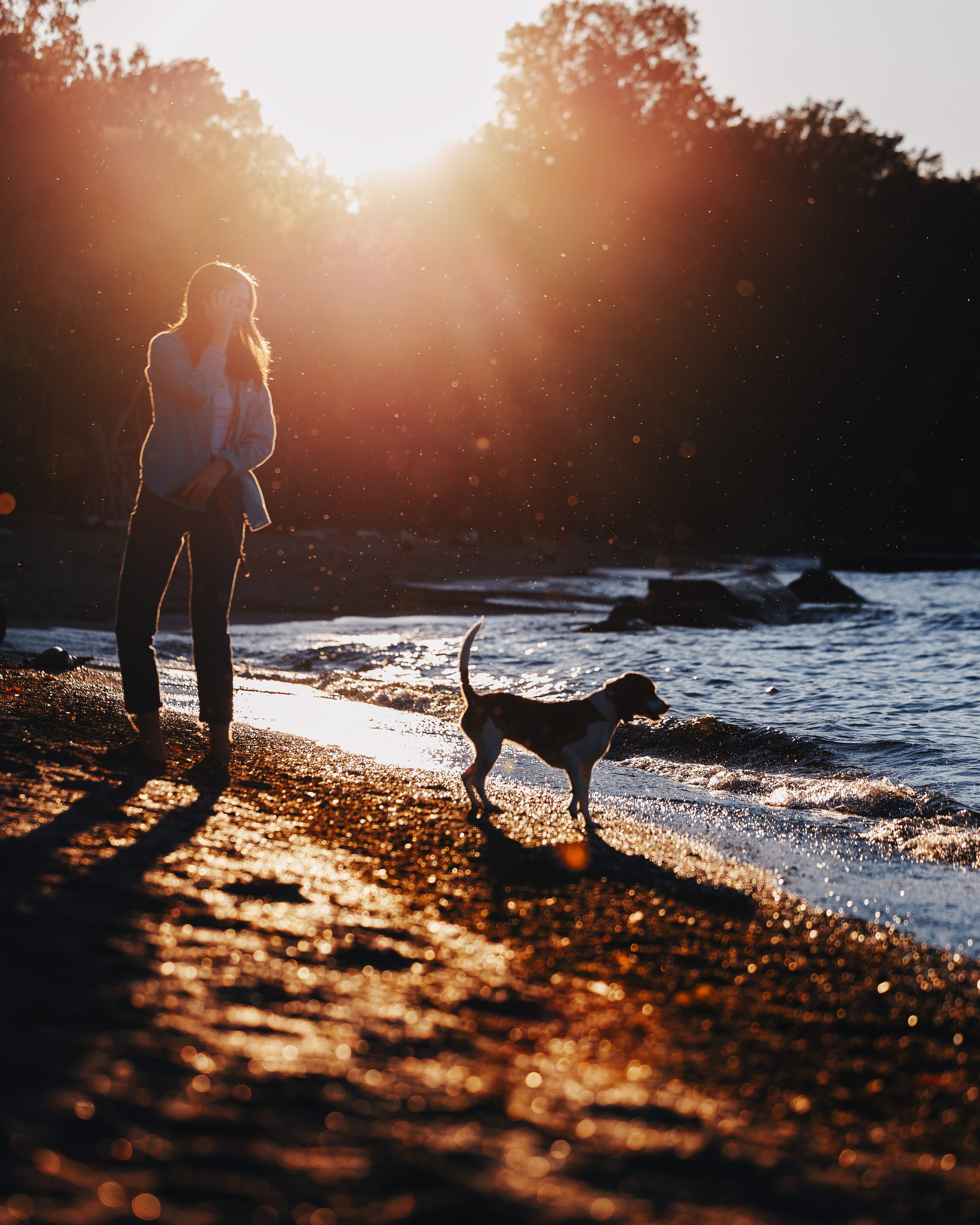 Maxine & Sarah. Pet Photographer Viktoriya Aleshenko