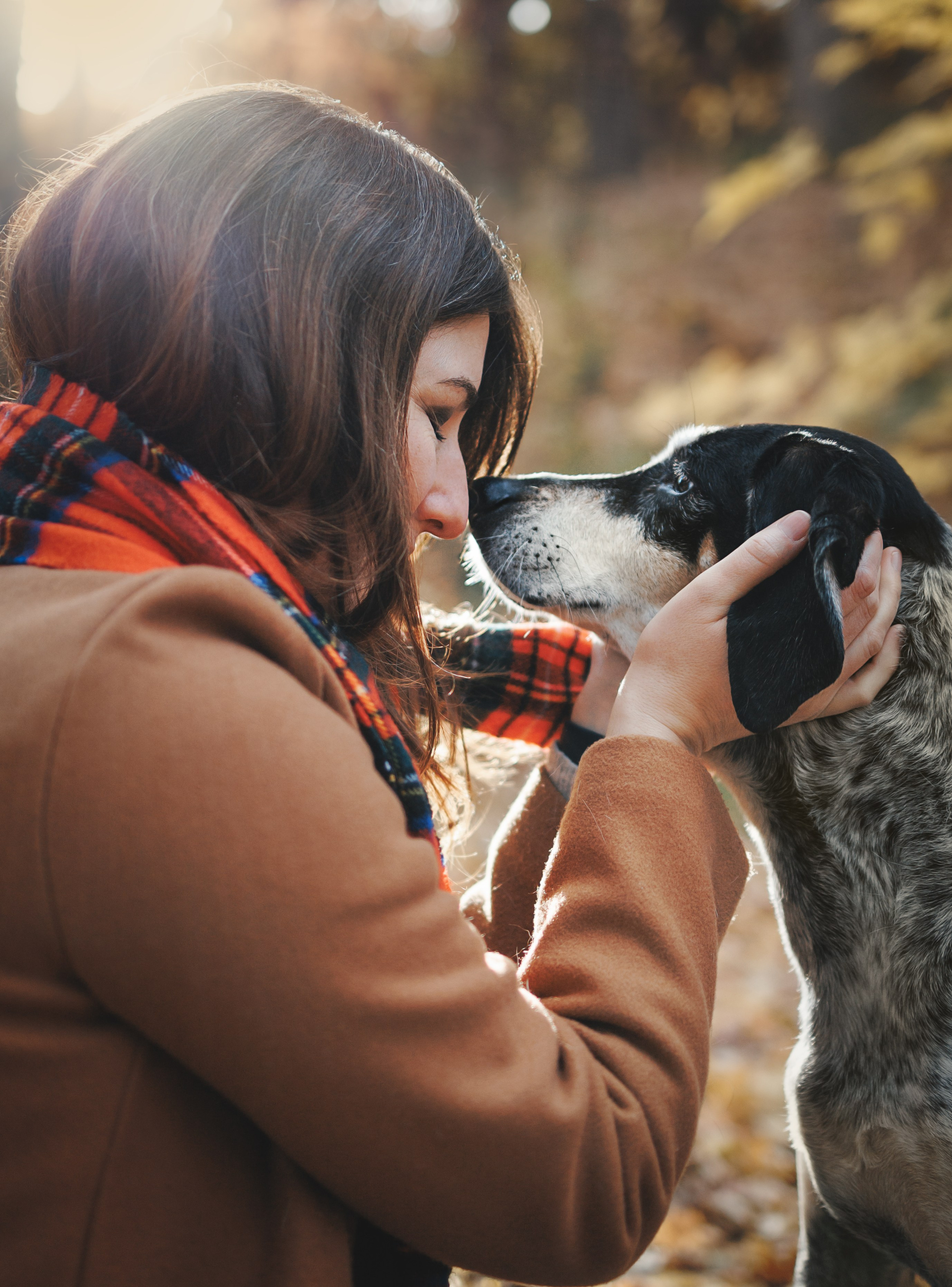 Racer & Delly. Pet Photographer Viktoriya Aleshenko