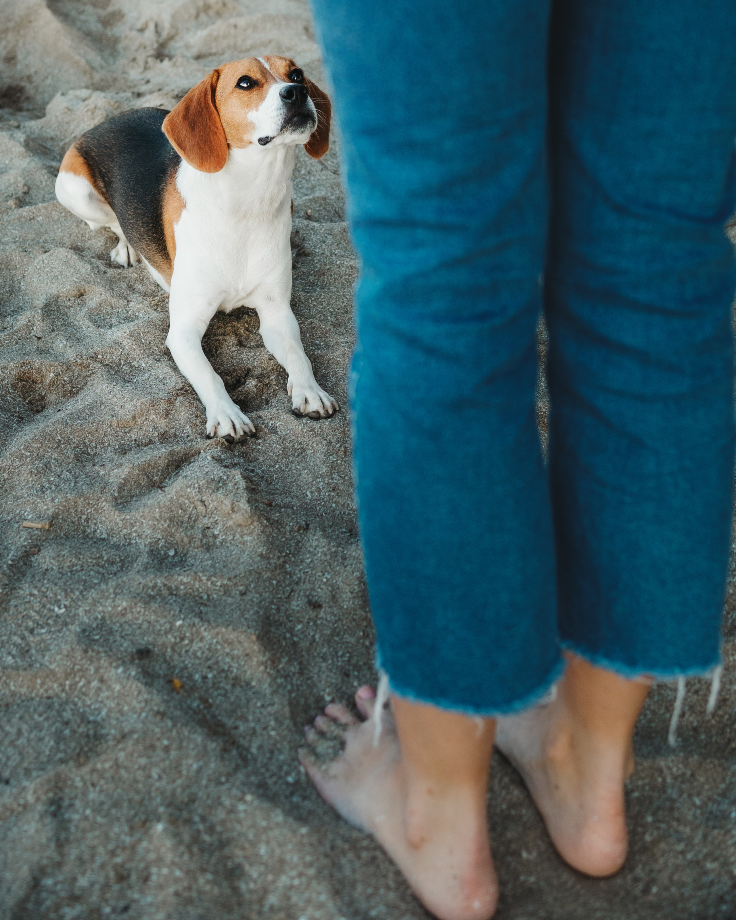 Maxine & Sarah. Pet Photographer Viktoriya Aleshenko