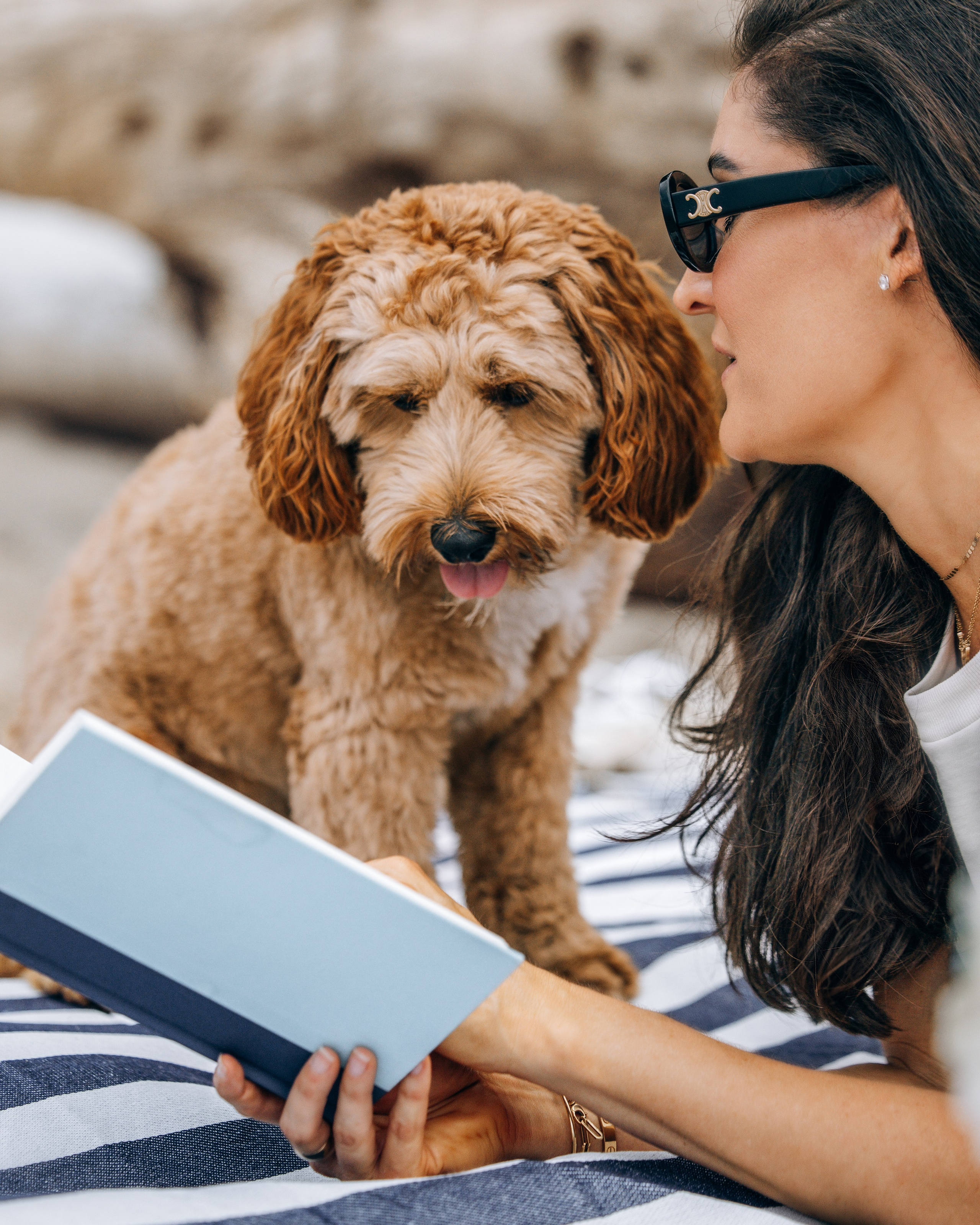 Howie & Callie. Pet Photographer Viktoriya Aleshenko