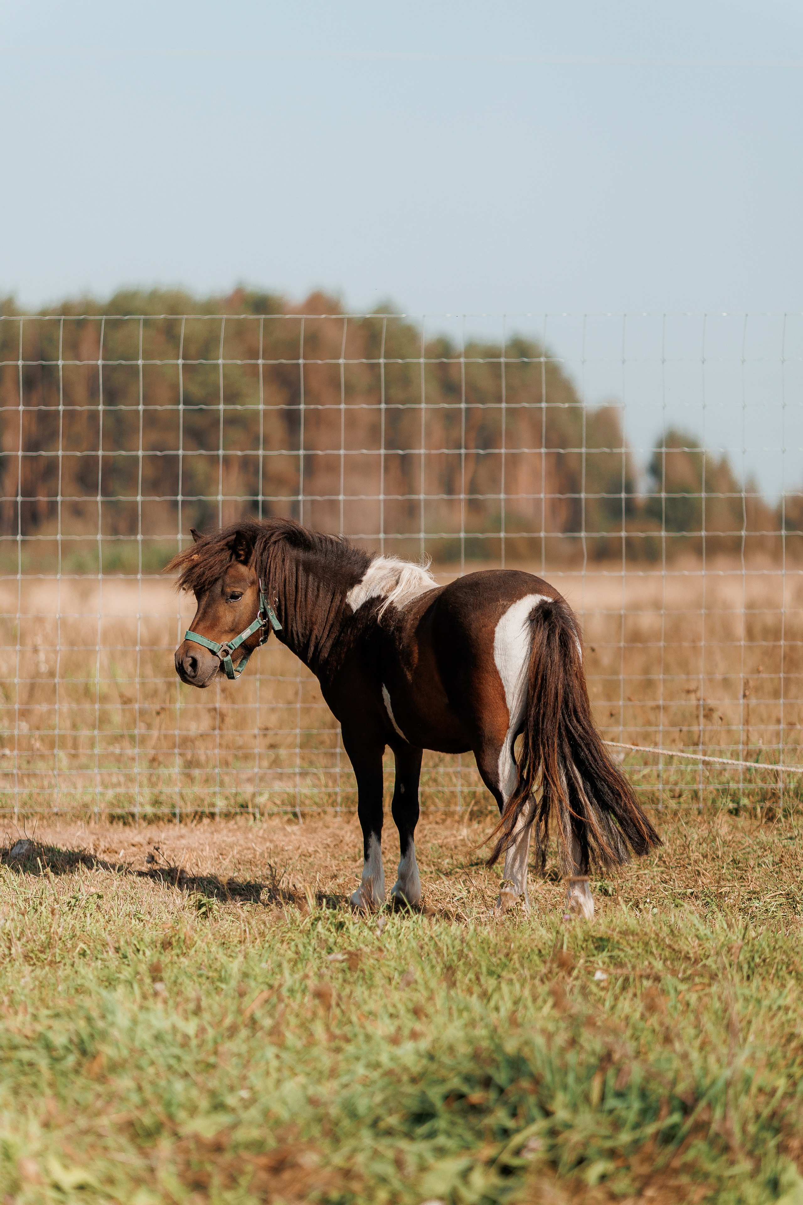 Екопарк Аміла. Ірина Терещук