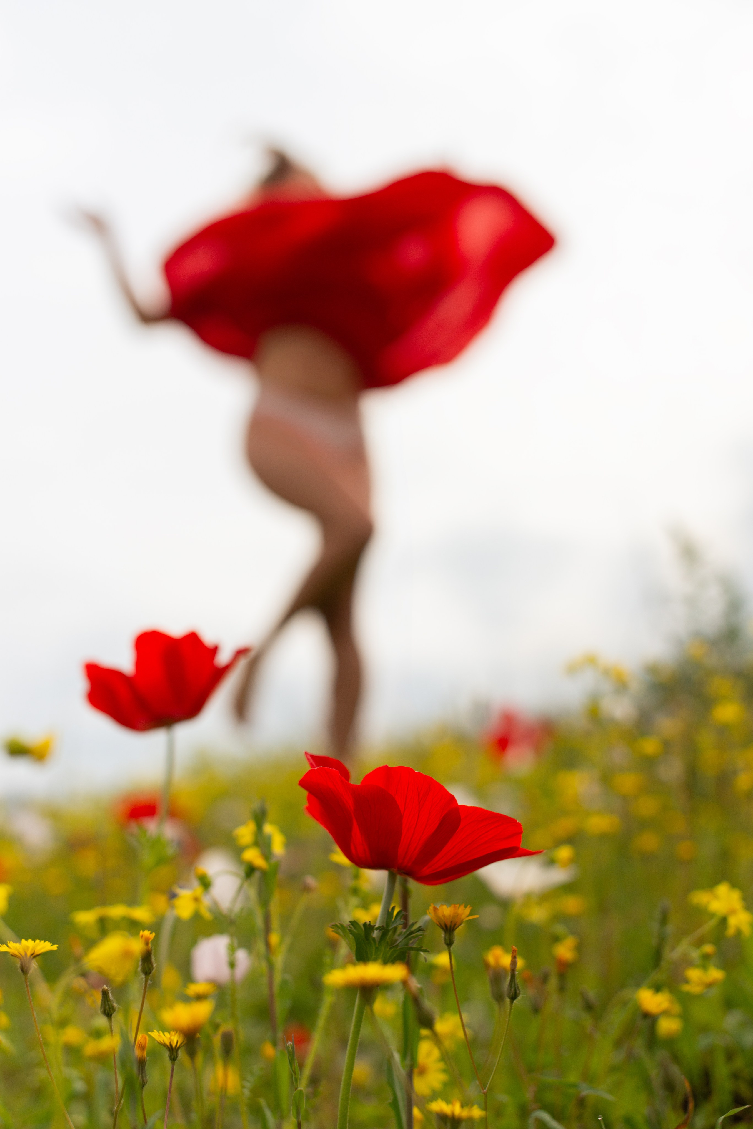 Blooming photoshoot. Dina Solomina | Photographer in Israel