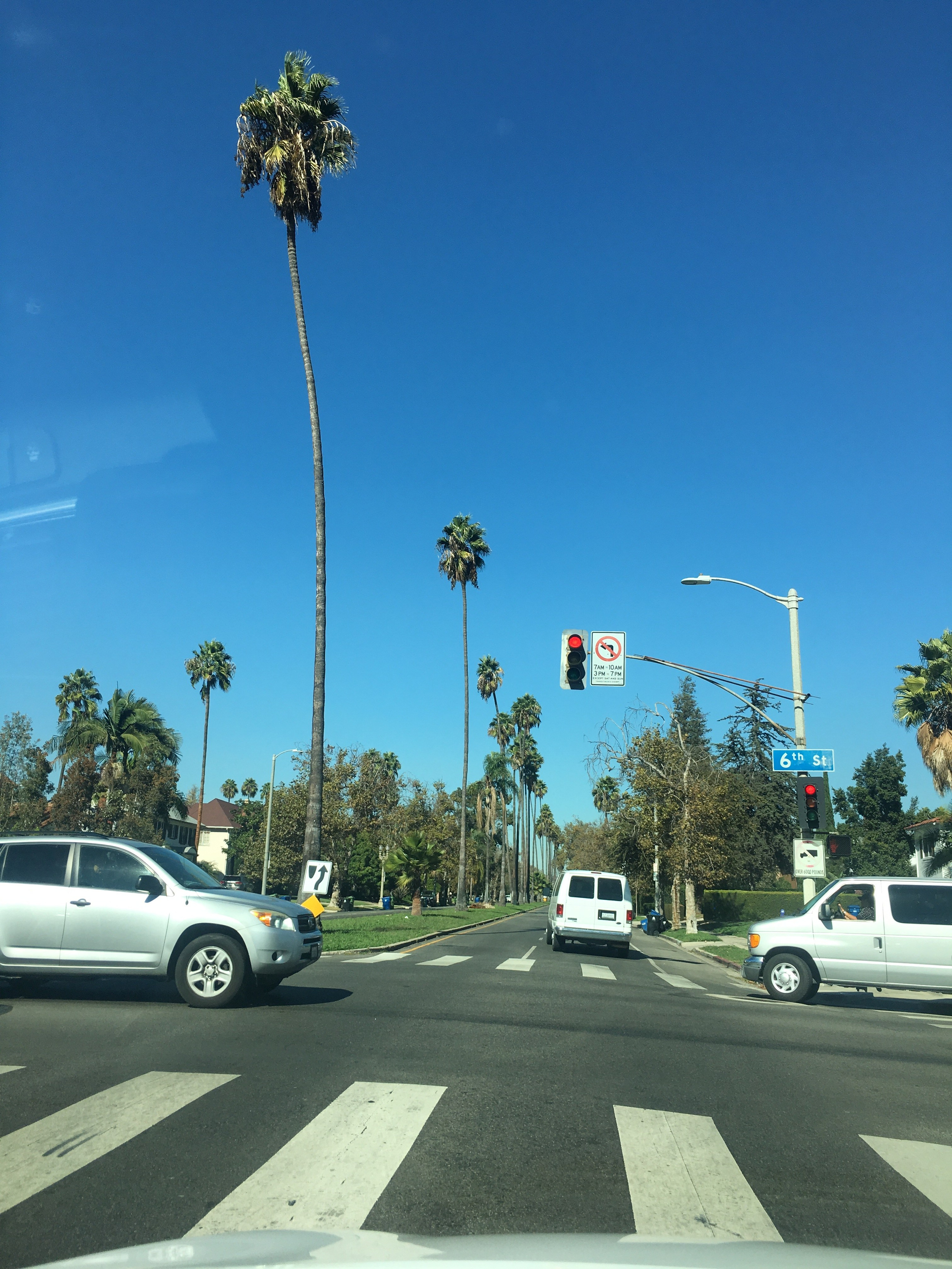 Lens Work From the Field 2