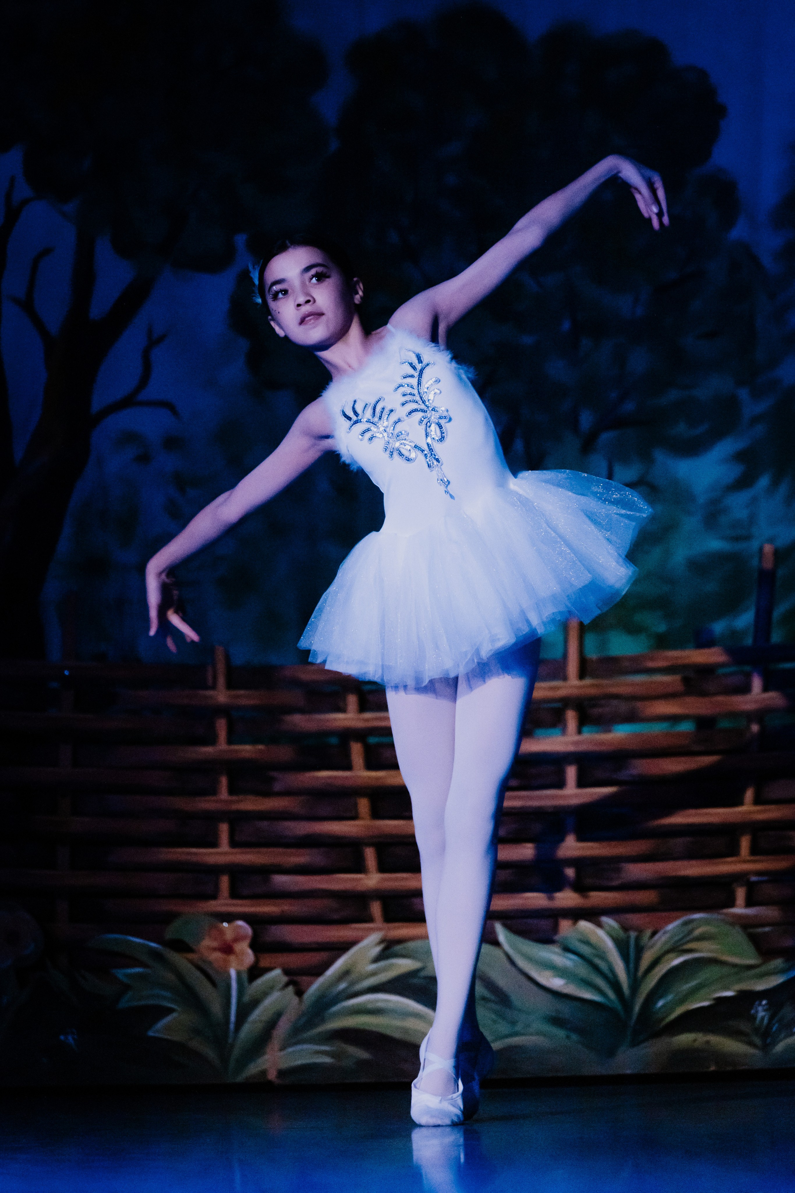 Концертная и сценическая фотография. Фотограф и видеограф Дмитрий Максимюк