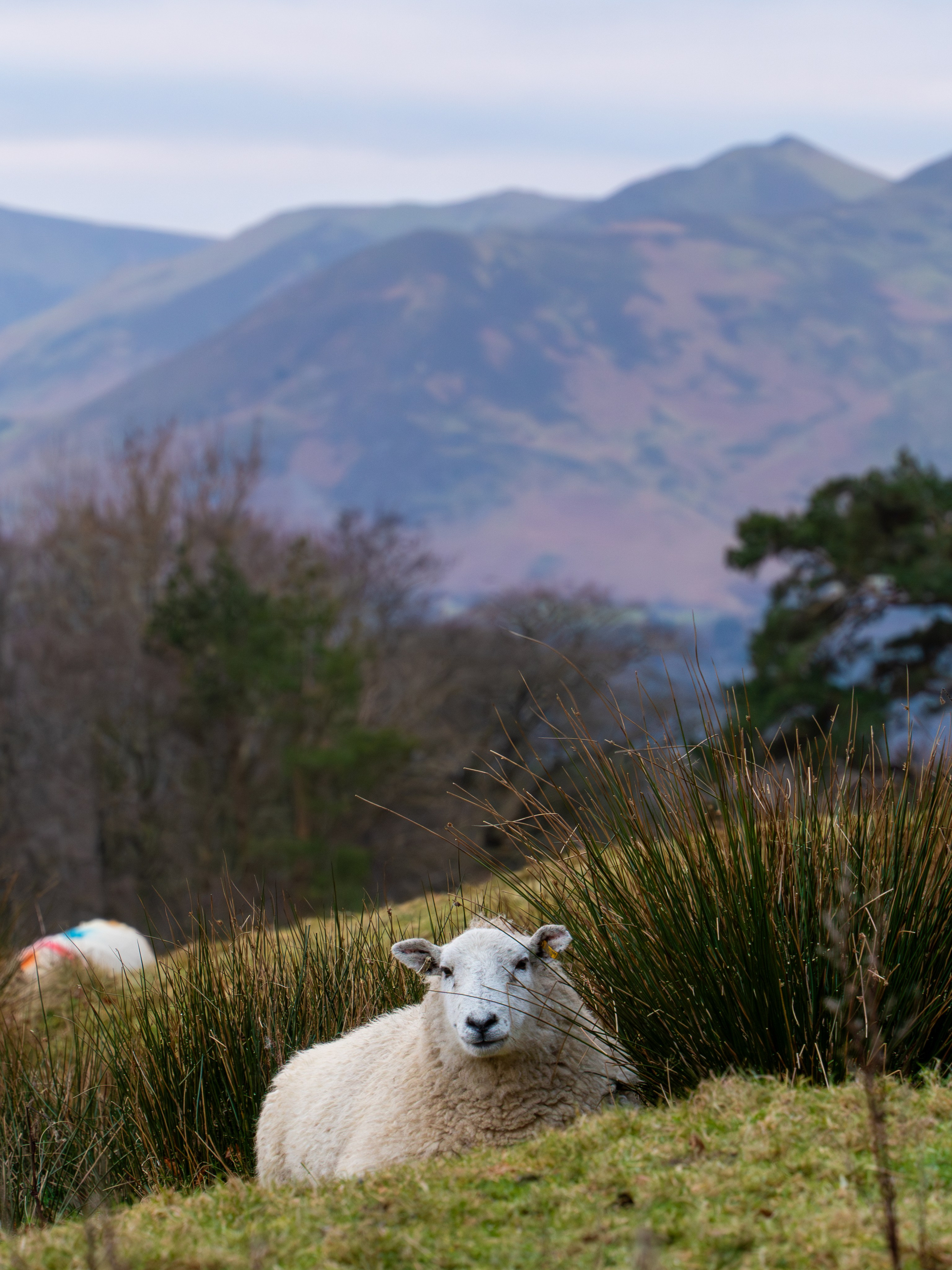 Threlkeld Day Trip. Expect Miracles Photography by Kate & Andrew