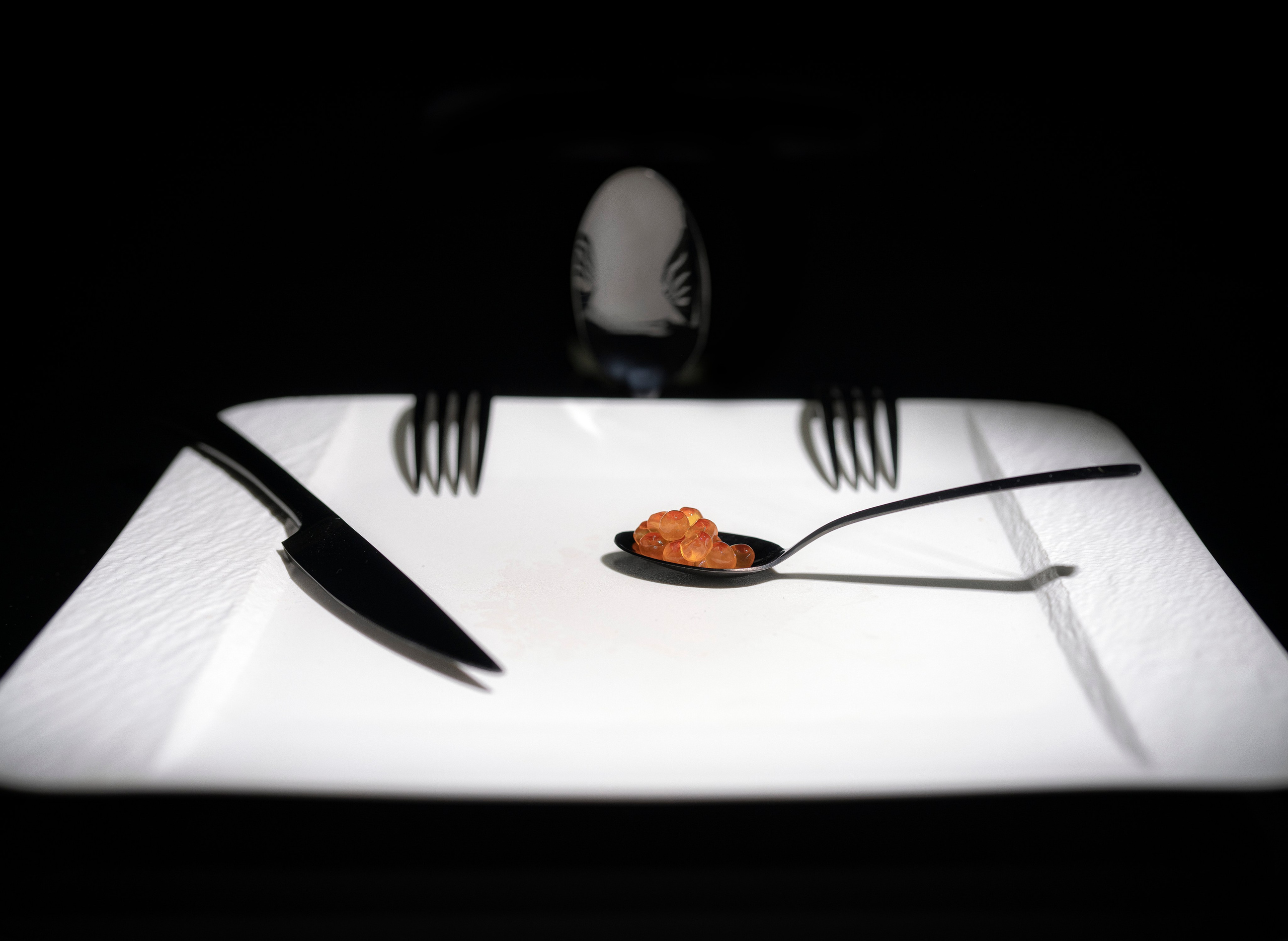 Food Fotografie. LUKIN IGOR Photography