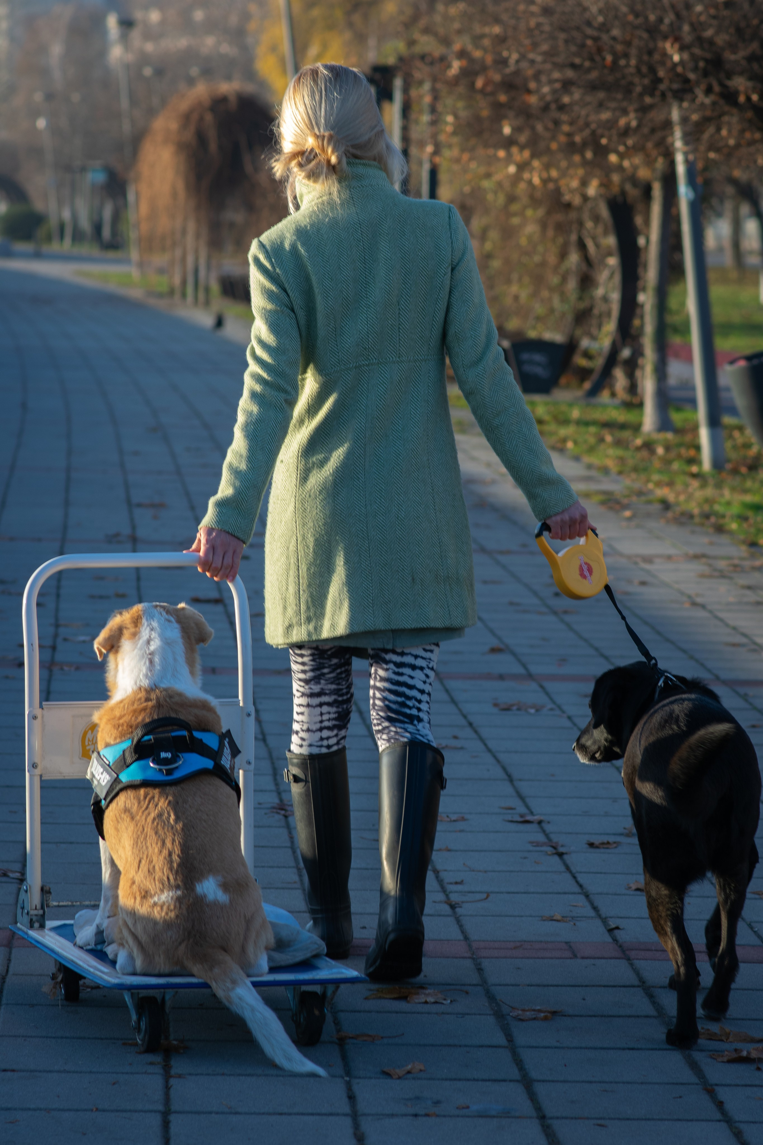My angel of view to Novi Sad city, Serbia. Victoria Fedoseenko. Photographer from Serbia