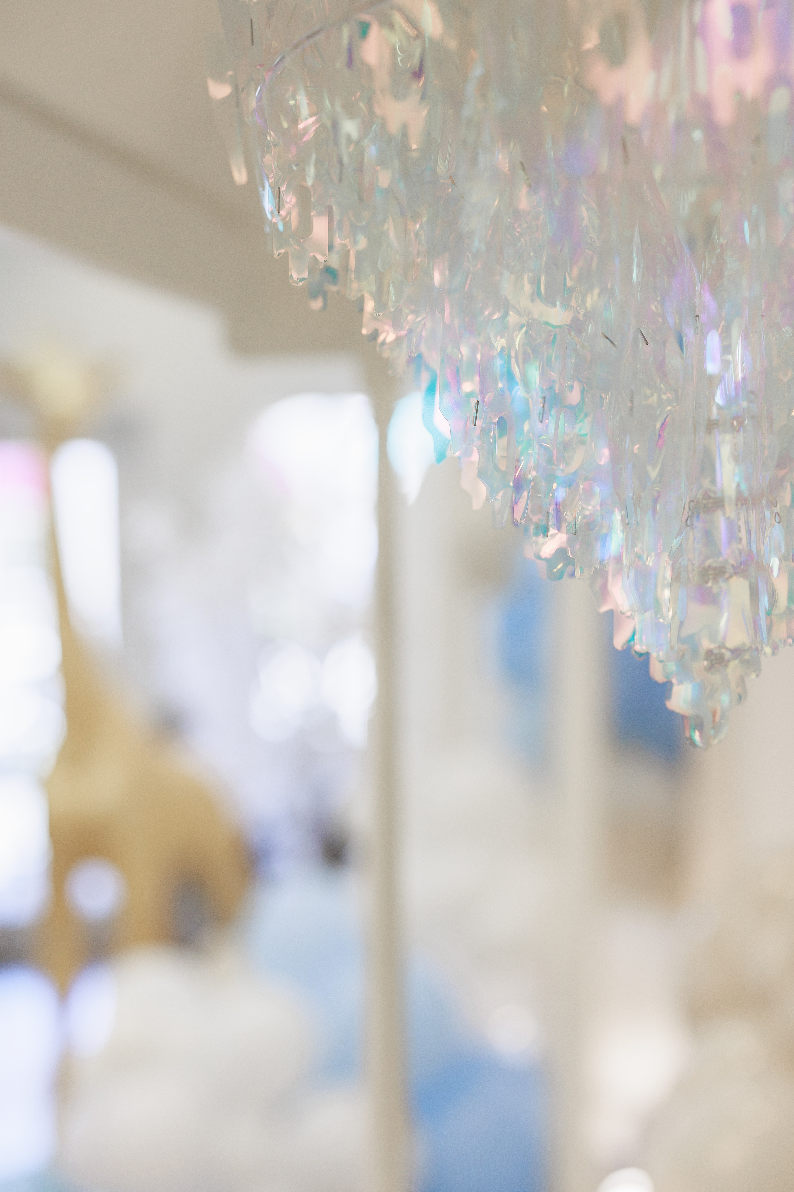 Small events. ArtFeather Photography. Sacramento, California