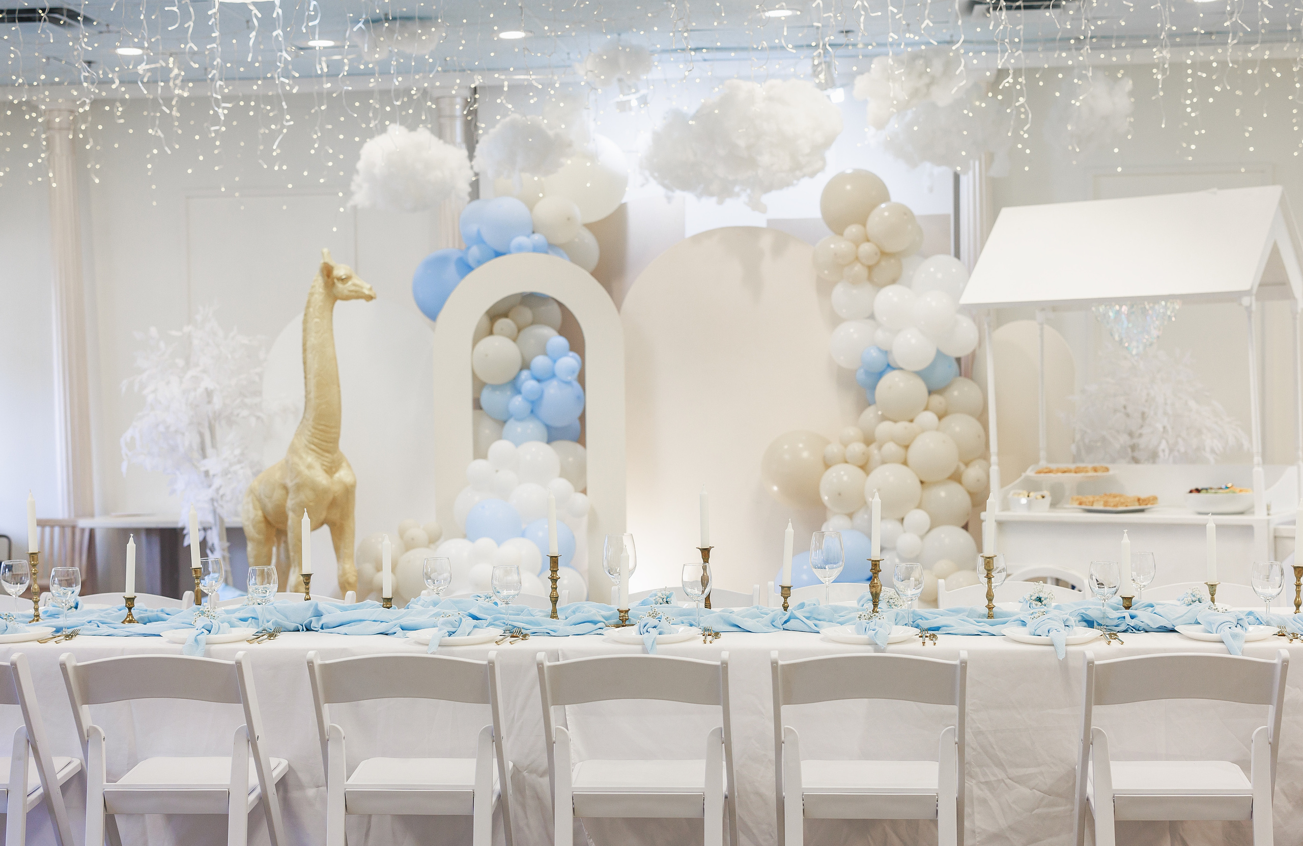 Small events. ArtFeather Photography. Sacramento, California