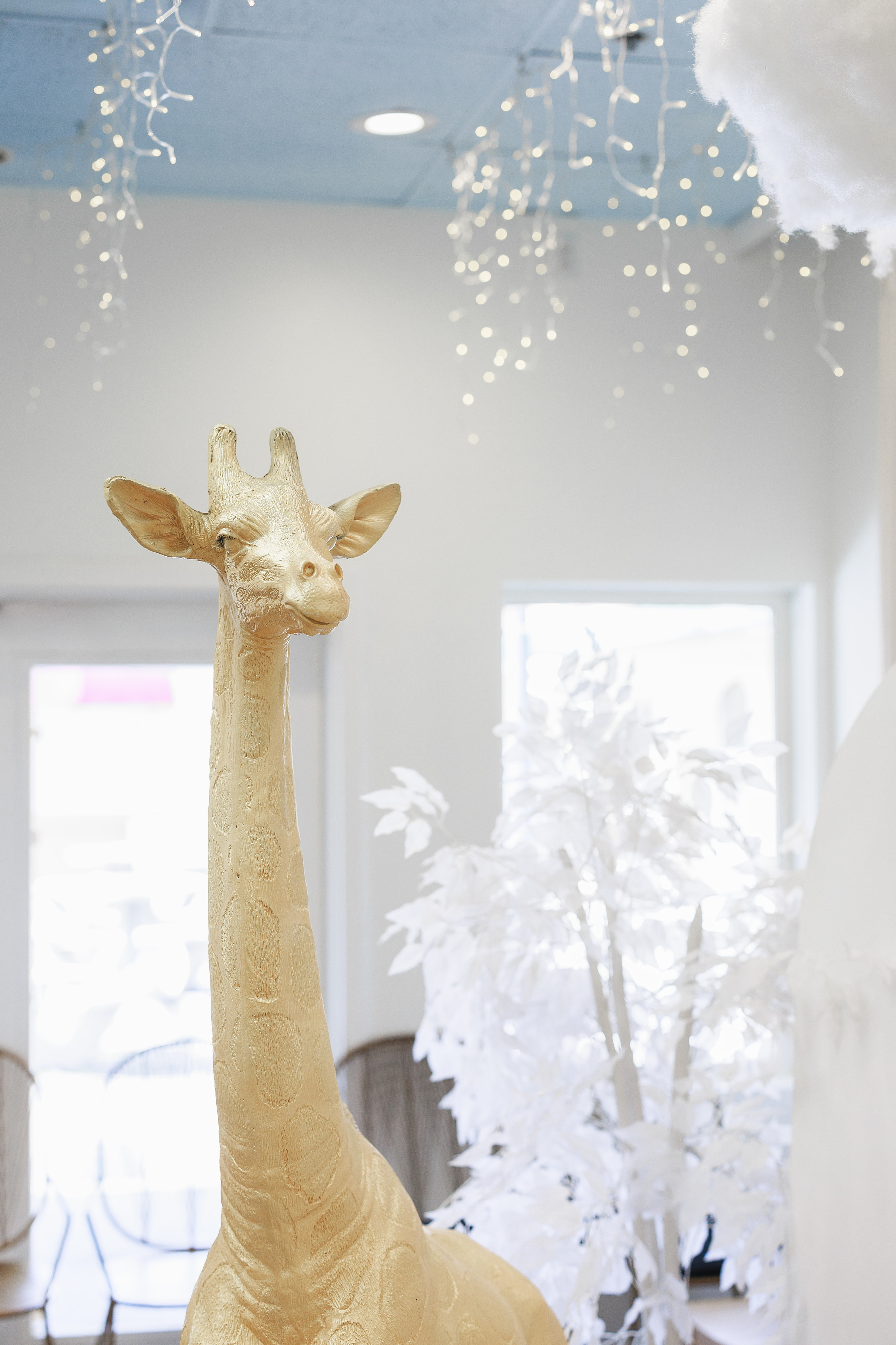 Small events. ArtFeather Photography. Sacramento, California