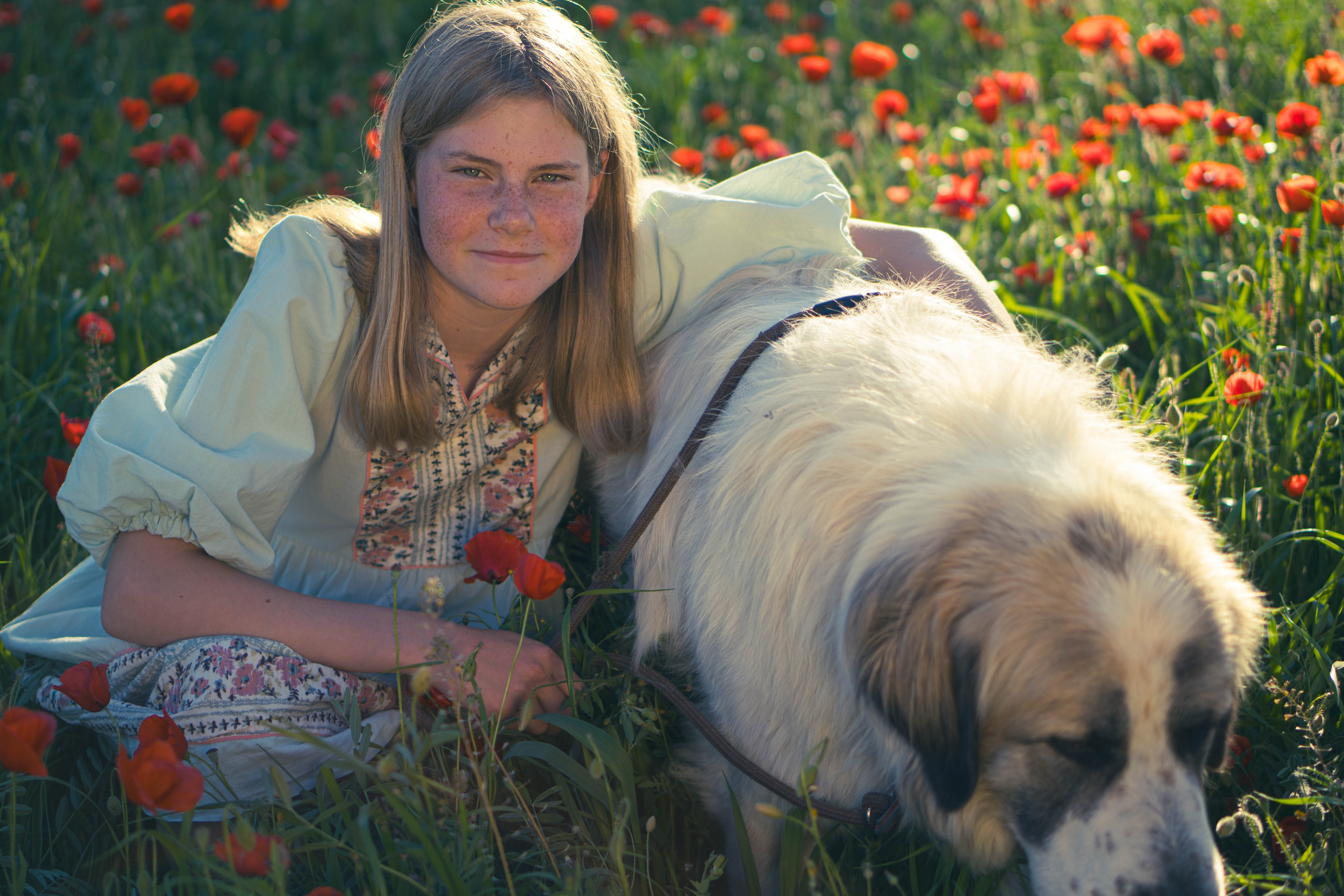 Agnia & Amapolas. Alba del Norte Studio