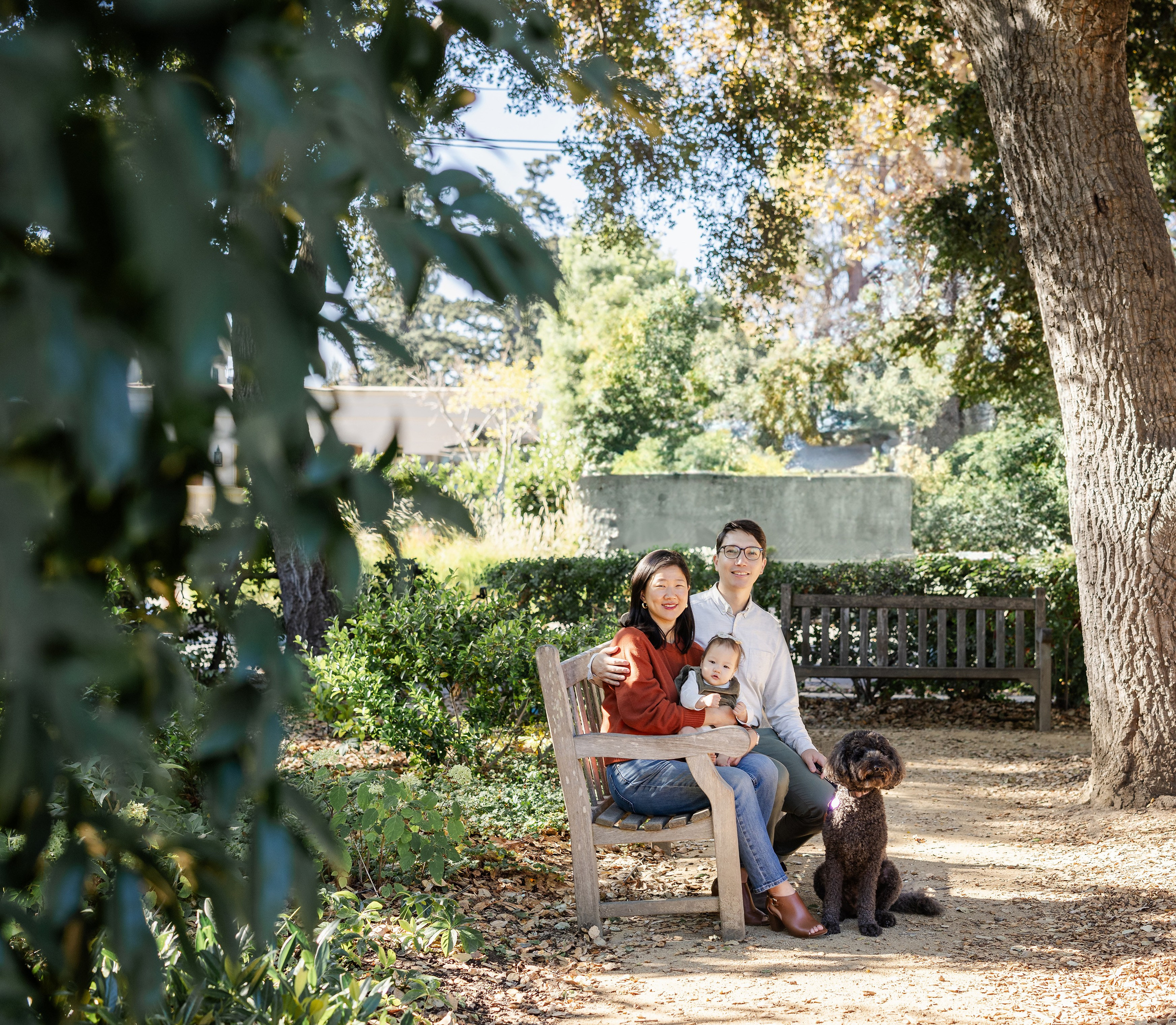 Autumn Morning in Palo Alto. Levantera Photo San Francisco Bay Area Photographer Natalia