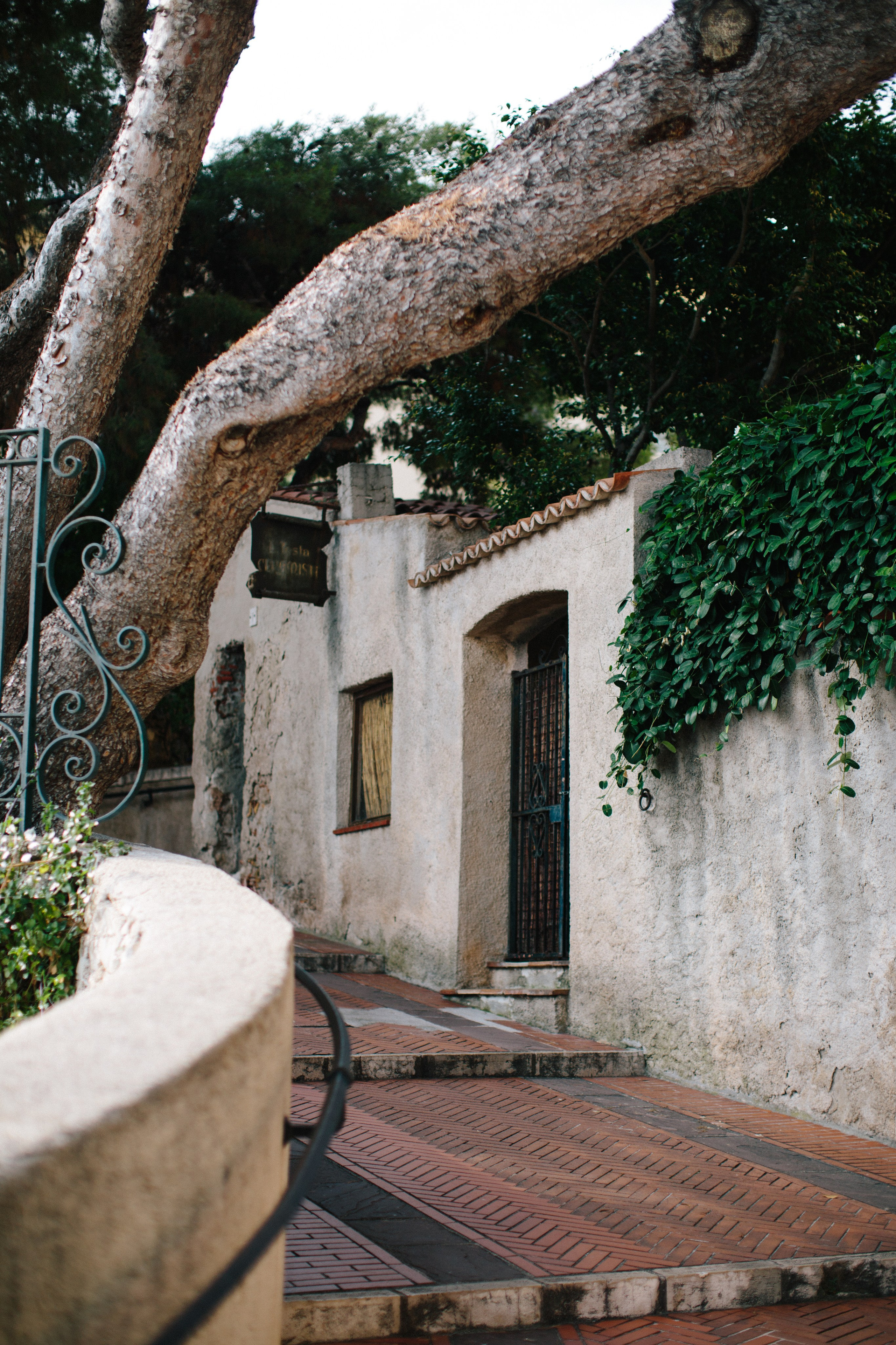 Monaco. Maria Chistyakovа — Fotografin in Karlsruhe, Baden-Baden und Umgebung
