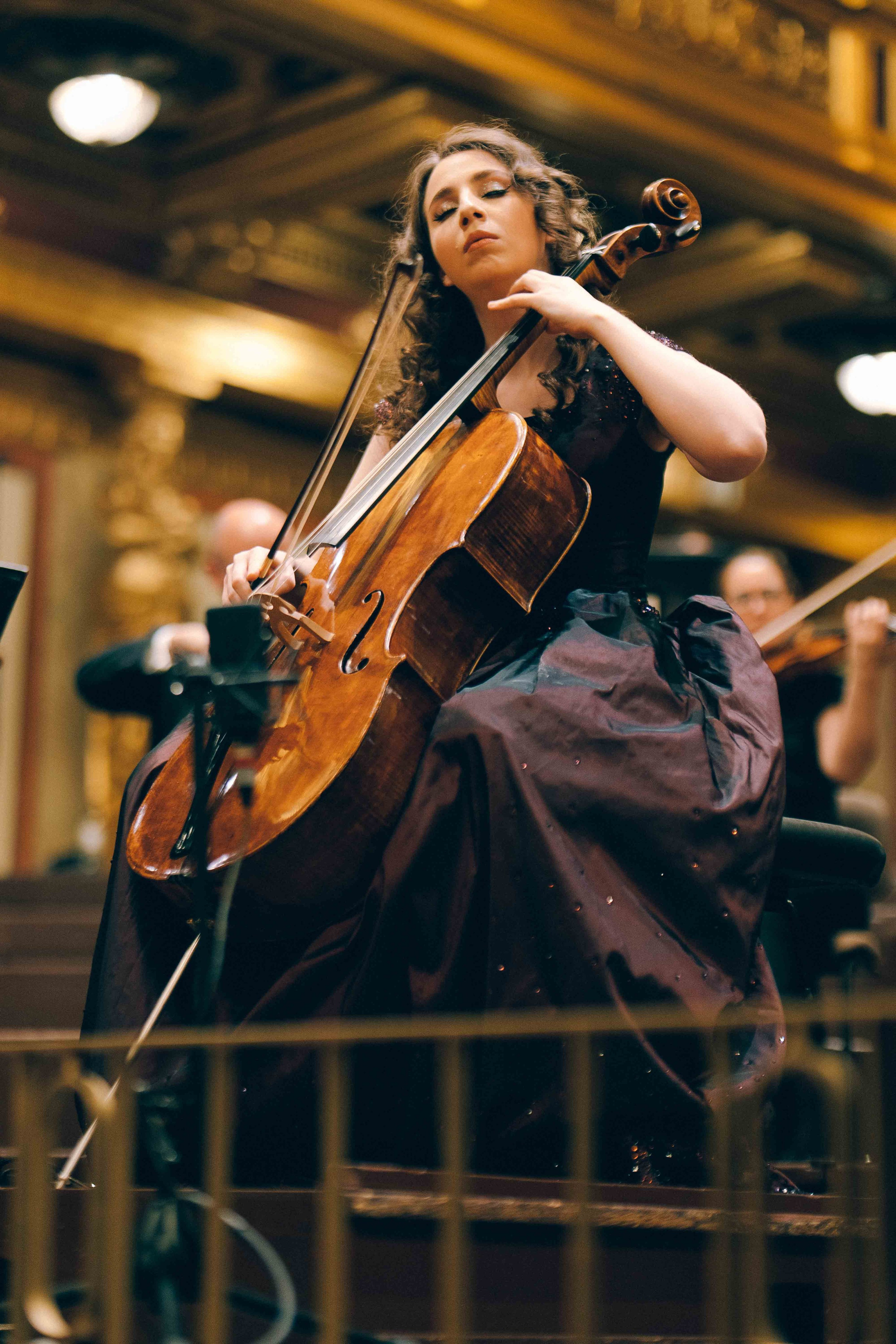 MUSIKVEREIN (VIENNA). Wedding&Event photographer Ismail Rzayev in Baku