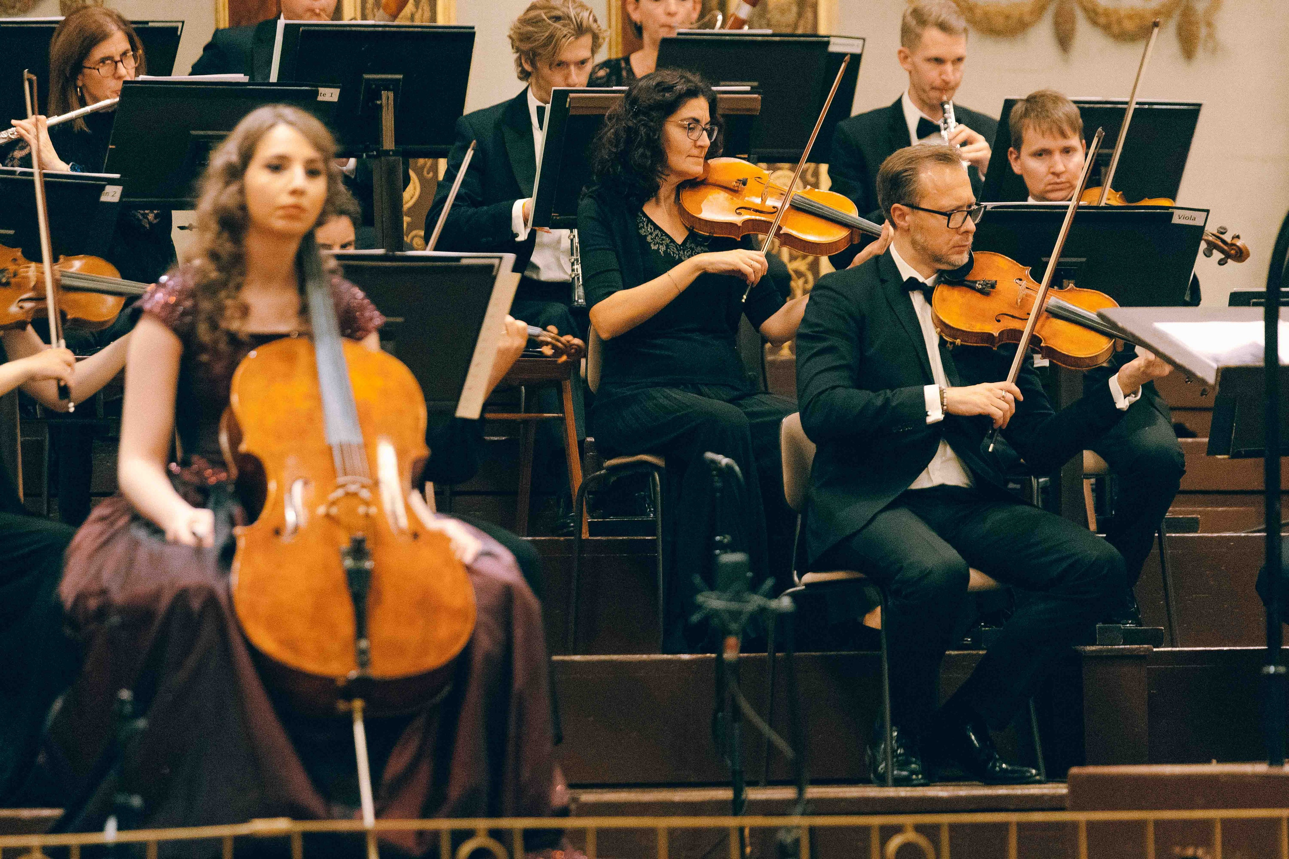 MUSIKVEREIN (VIENNA). Wedding&Event photographer Ismail Rzayev in Baku