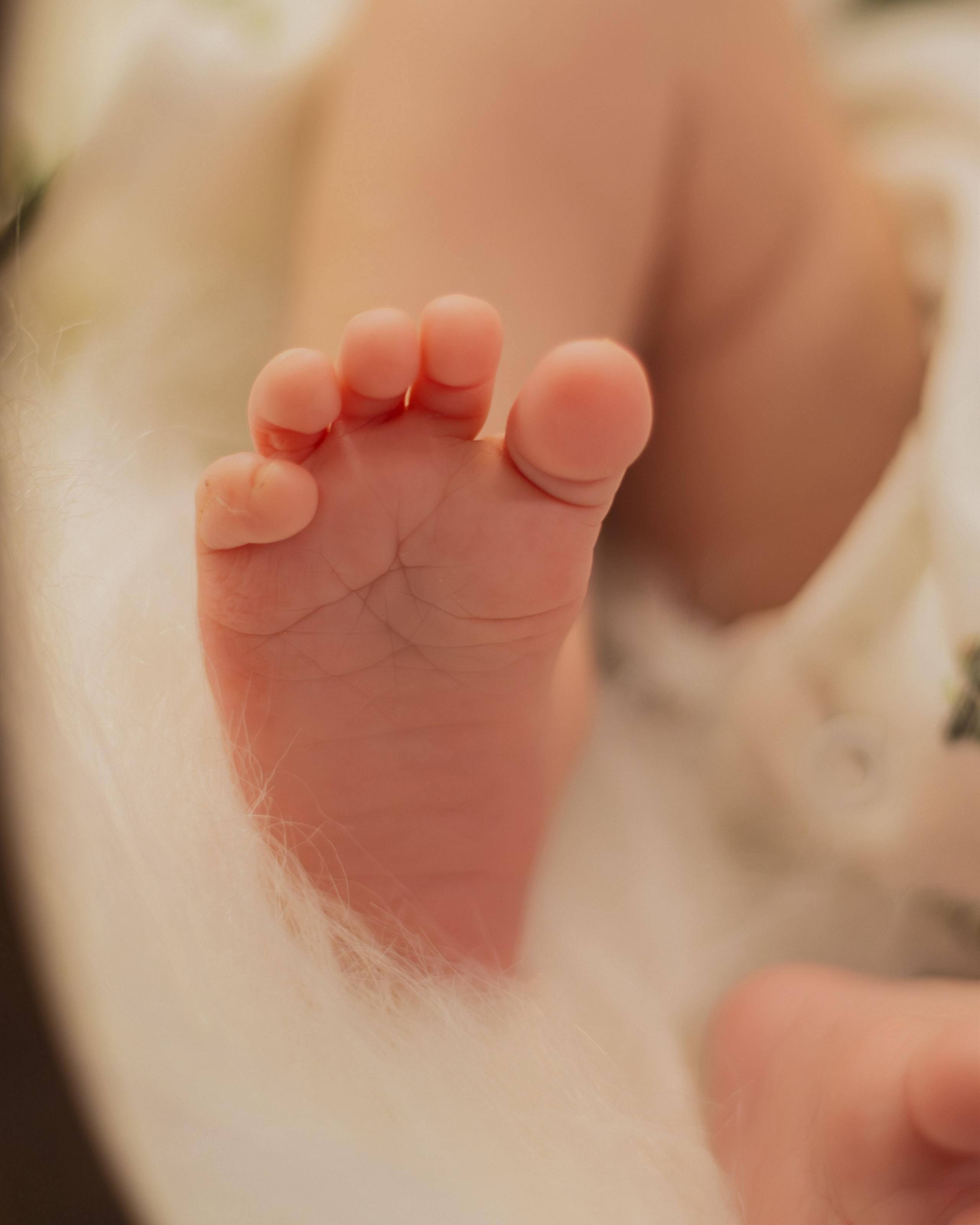 Ensaio Newborn em Sombrio. Fotografia de Recém-Nascido. Oukla Estúdio