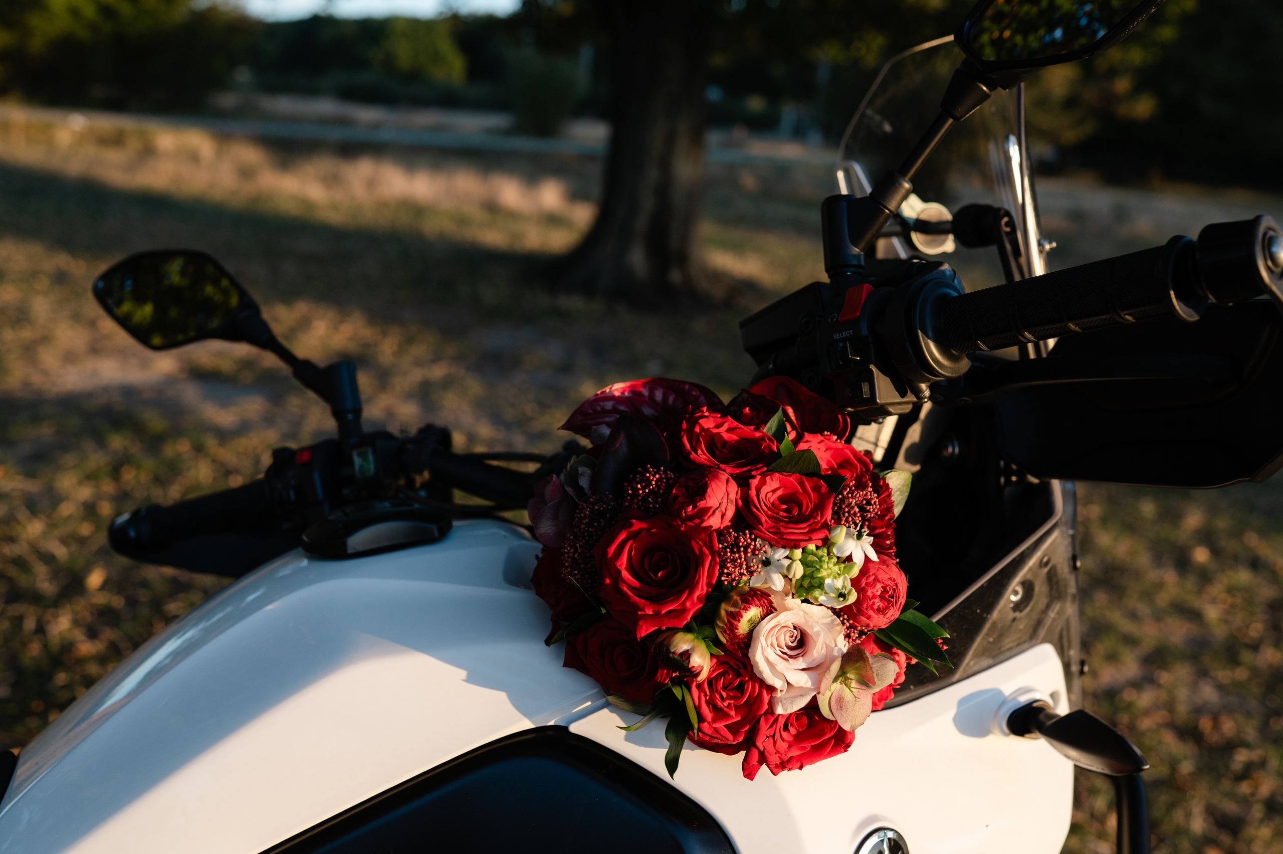 Wedding photos. Alexandra Hanu Photographer