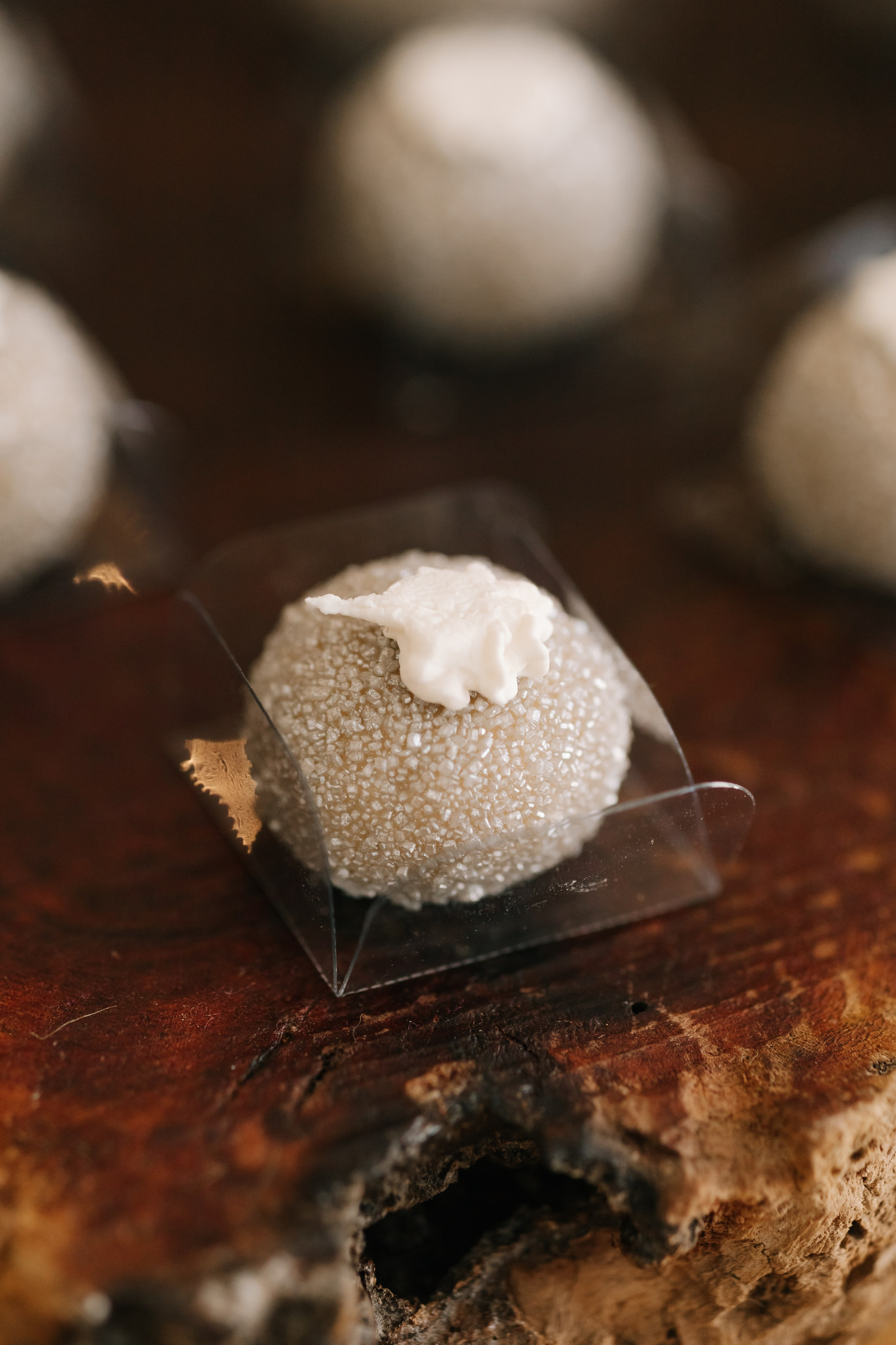 Joana & Miguel — Civil. Fotógrafo Richard Silvestre — Casamentos na Bahia