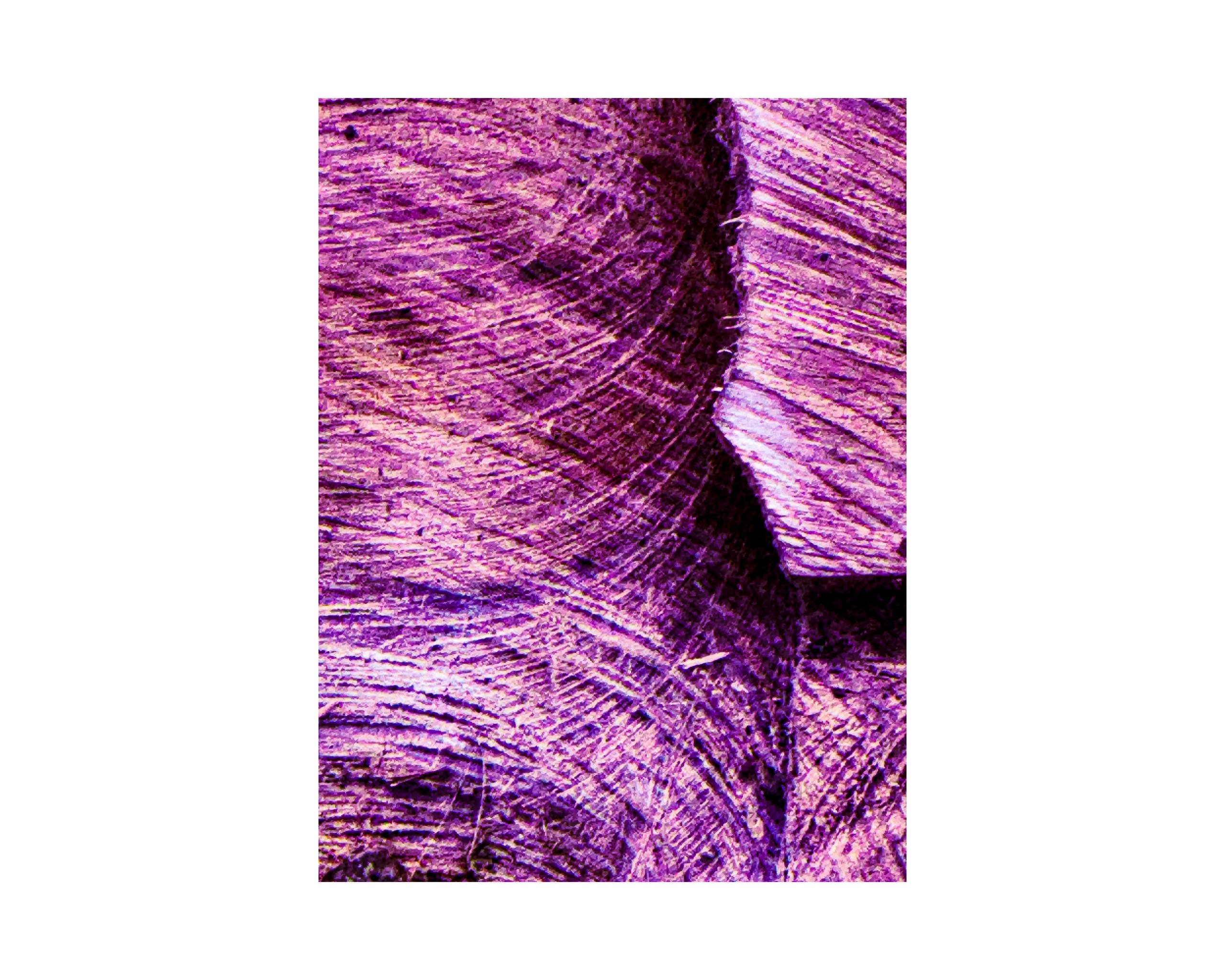 Nature from Exaggerated Worlds. Ekaterina Tsurkina-Appina Photography Canada