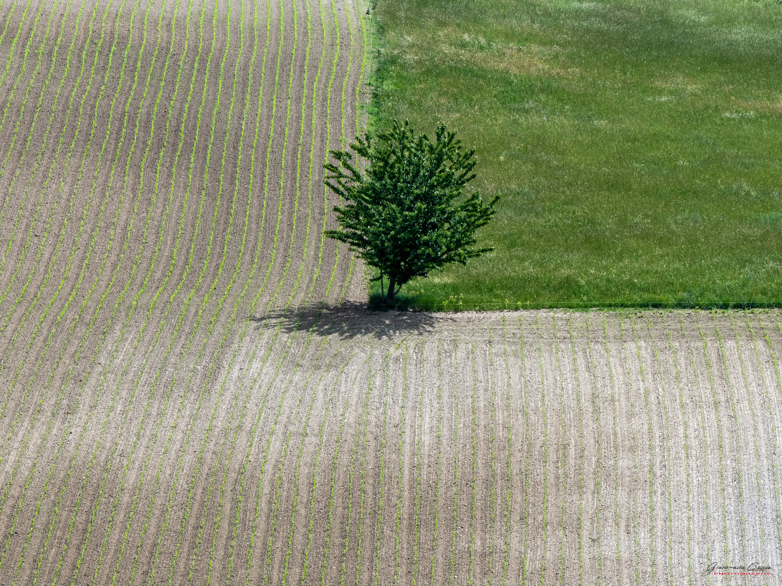 Langhe. “Gianmaria Coscia fotografo per passione”