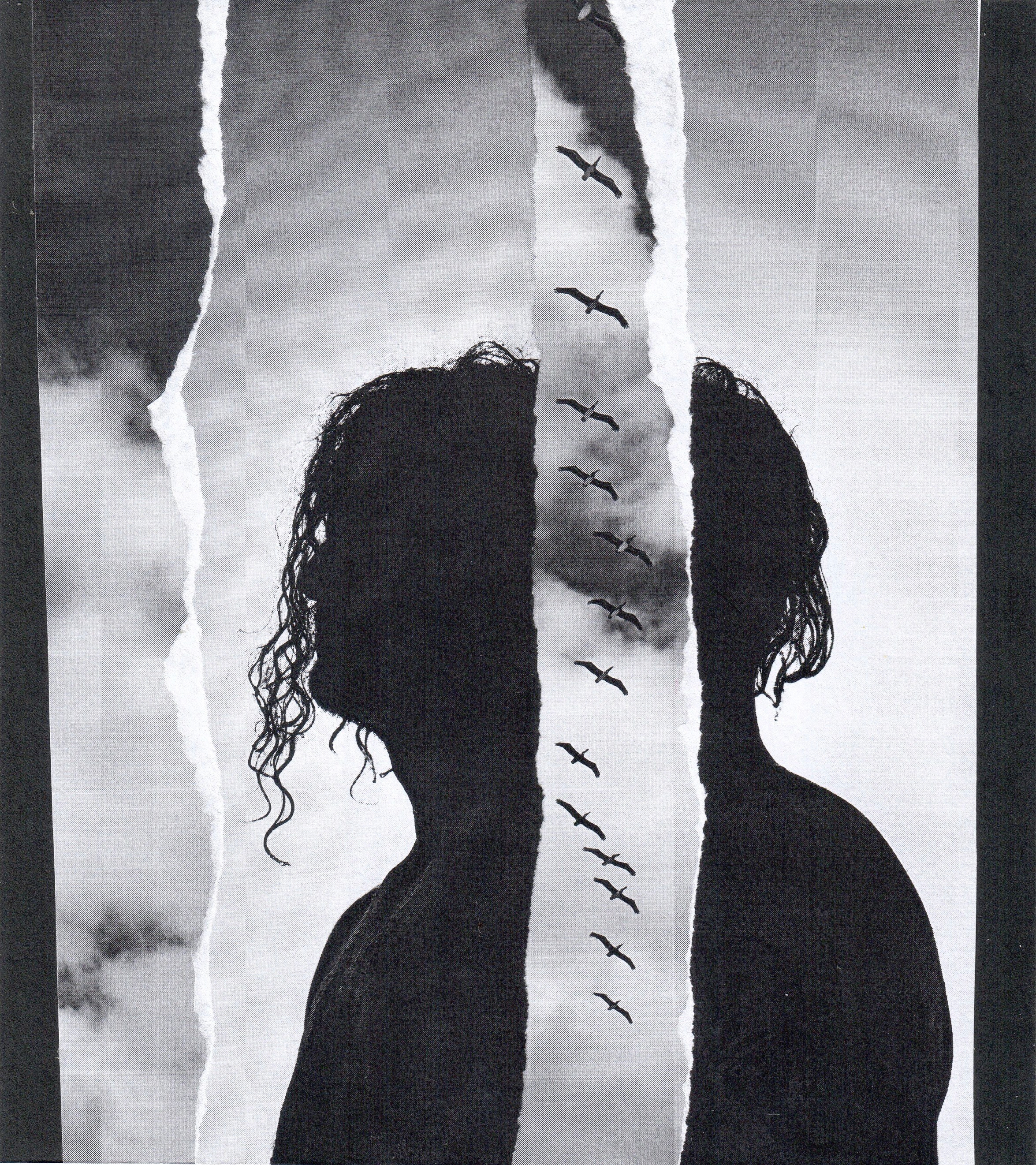 COLLAGES / MIXED MEDIA. Mixed media artist, photographer, visual artist New York