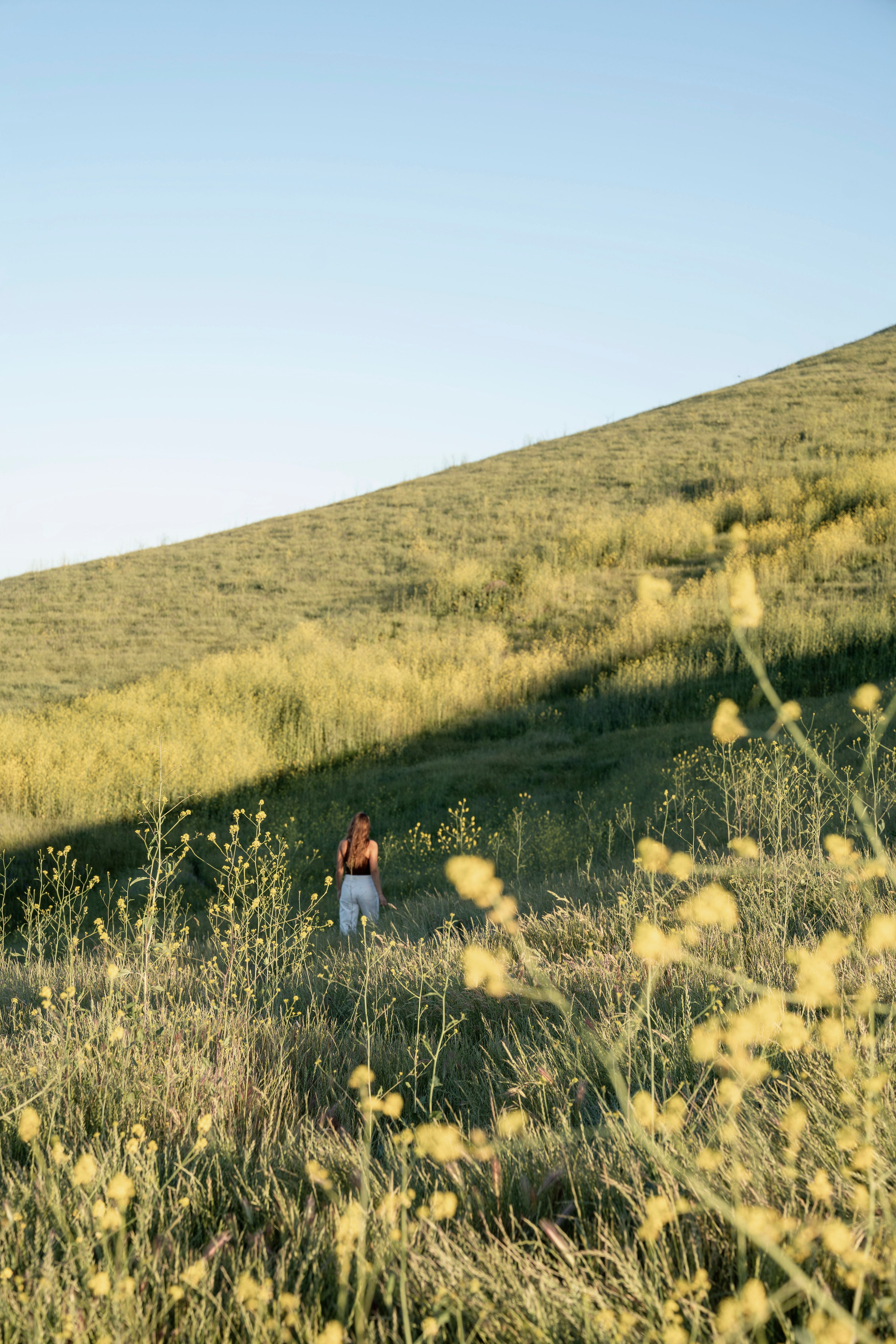 Lifestyle family session, candid family moments, outdoor family portraits, family photo shoot, natural family photos, kids and parents. Bay Area Photographer: family, maternity, love story, wedding
