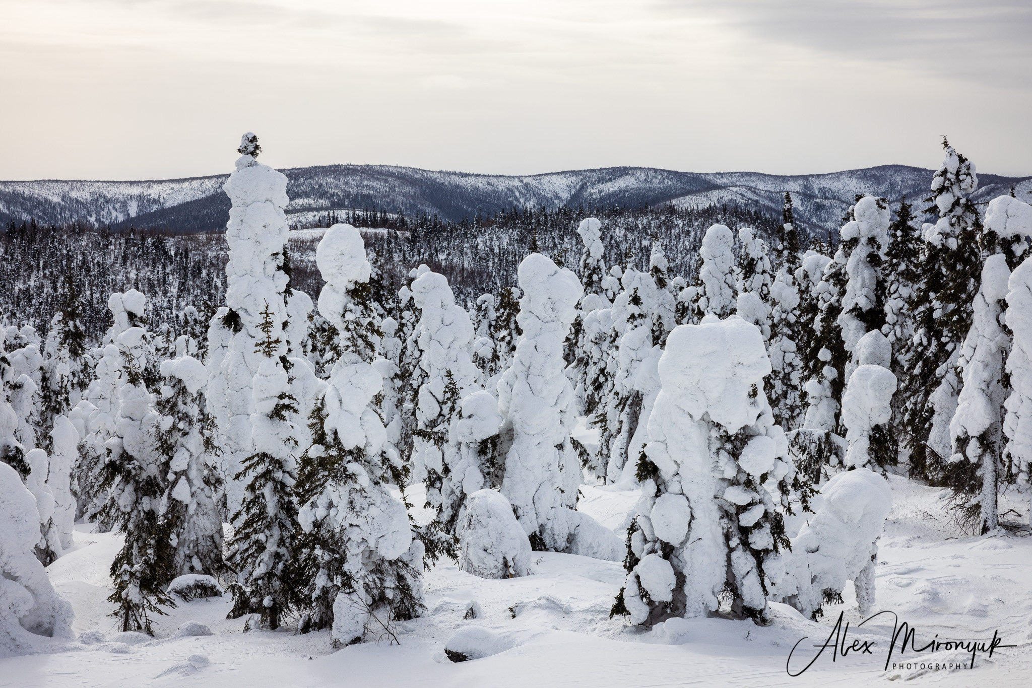 Chasing the Aurora Borealis. Alex Mironyuk Photography