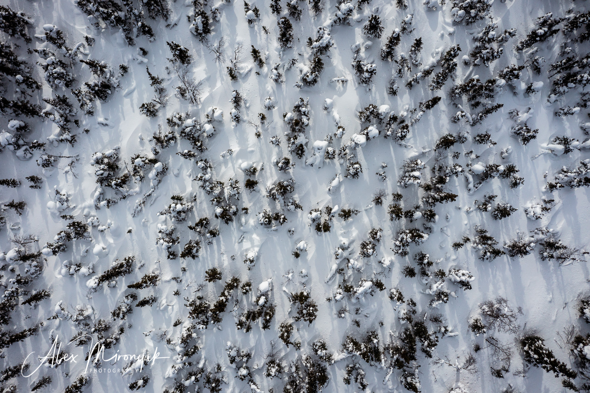 Chasing the Aurora Borealis. Alex Mironyuk Photography