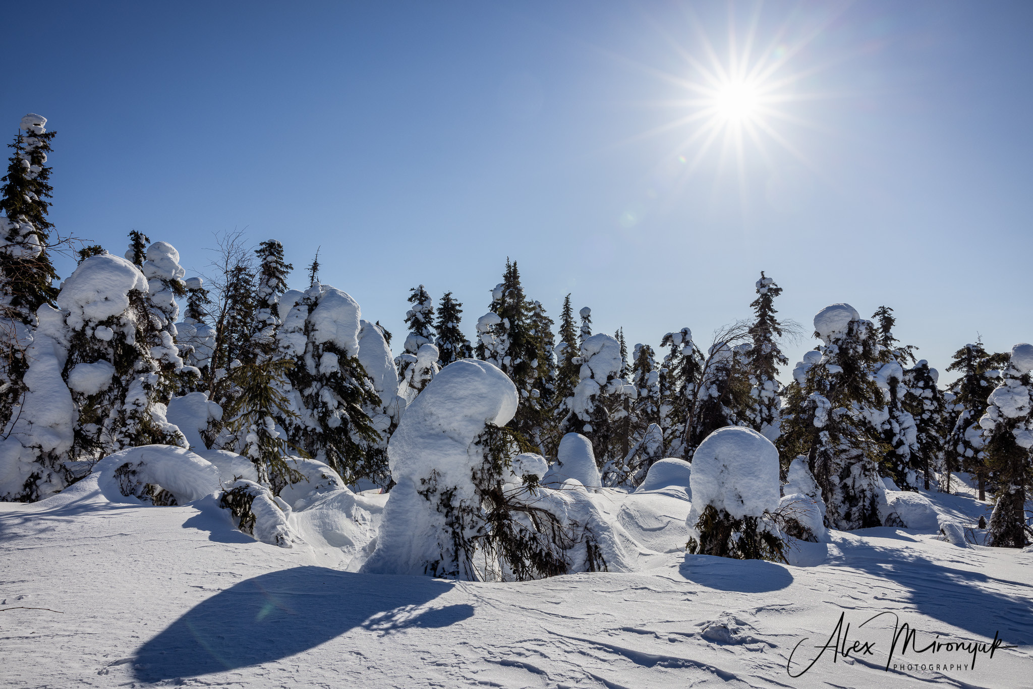 Chasing the Aurora Borealis. Alex Mironyuk Photography